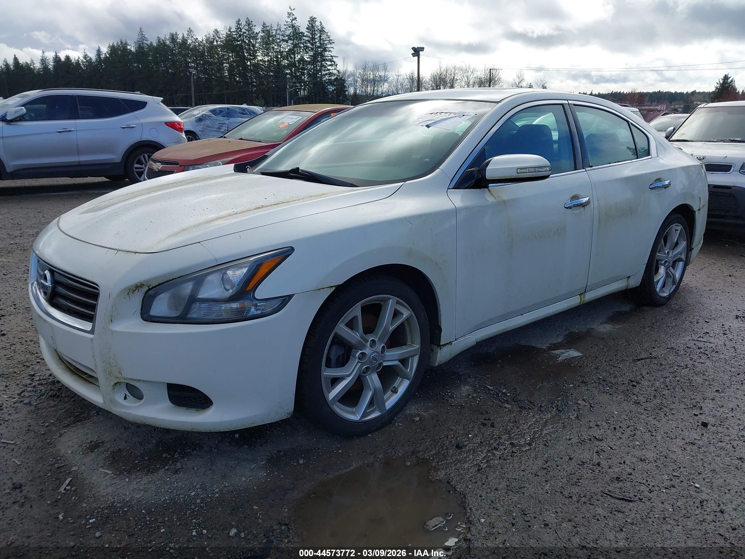 NISSAN MAXIMA image 2