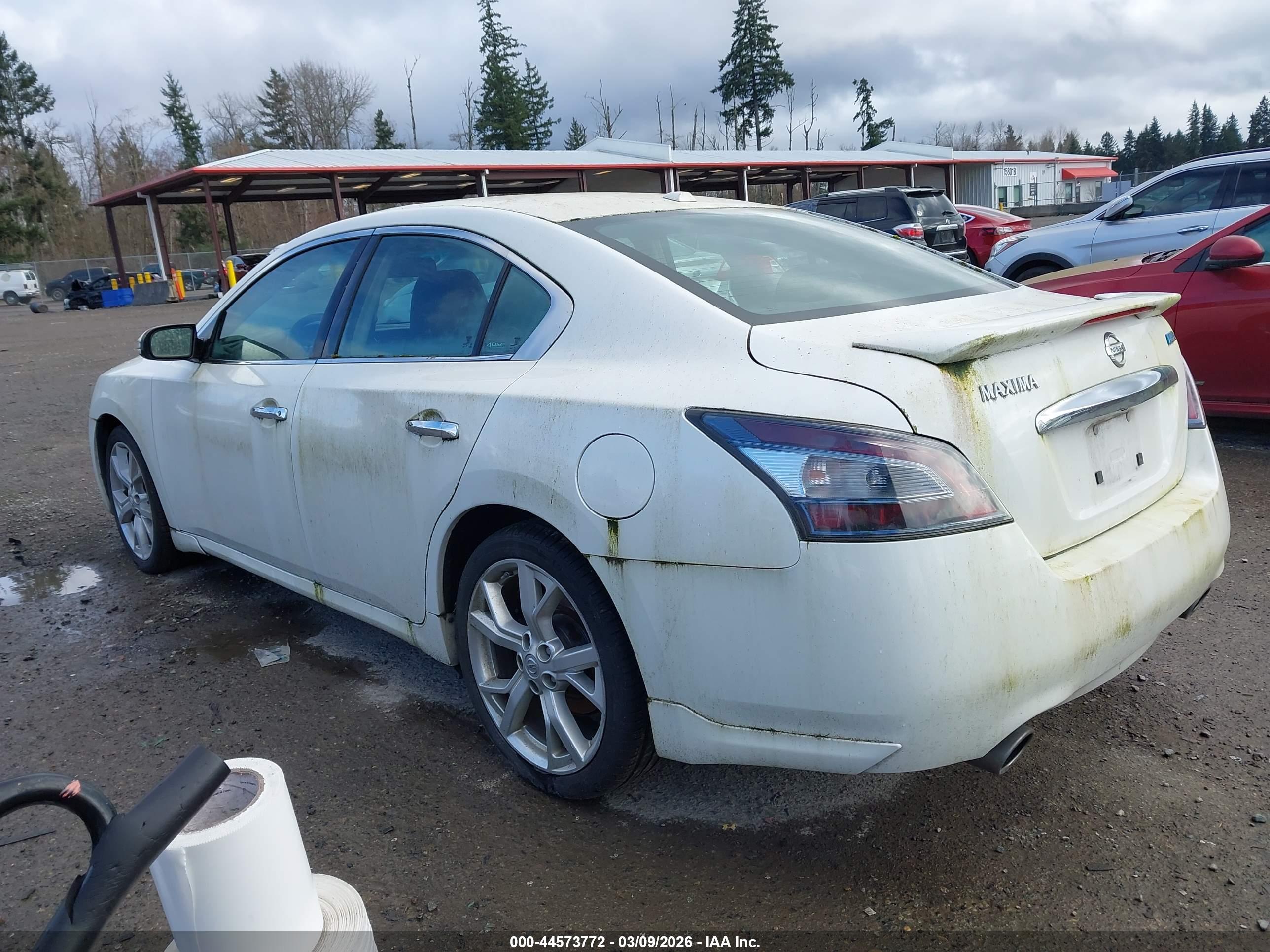 NISSAN MAXIMA image 3