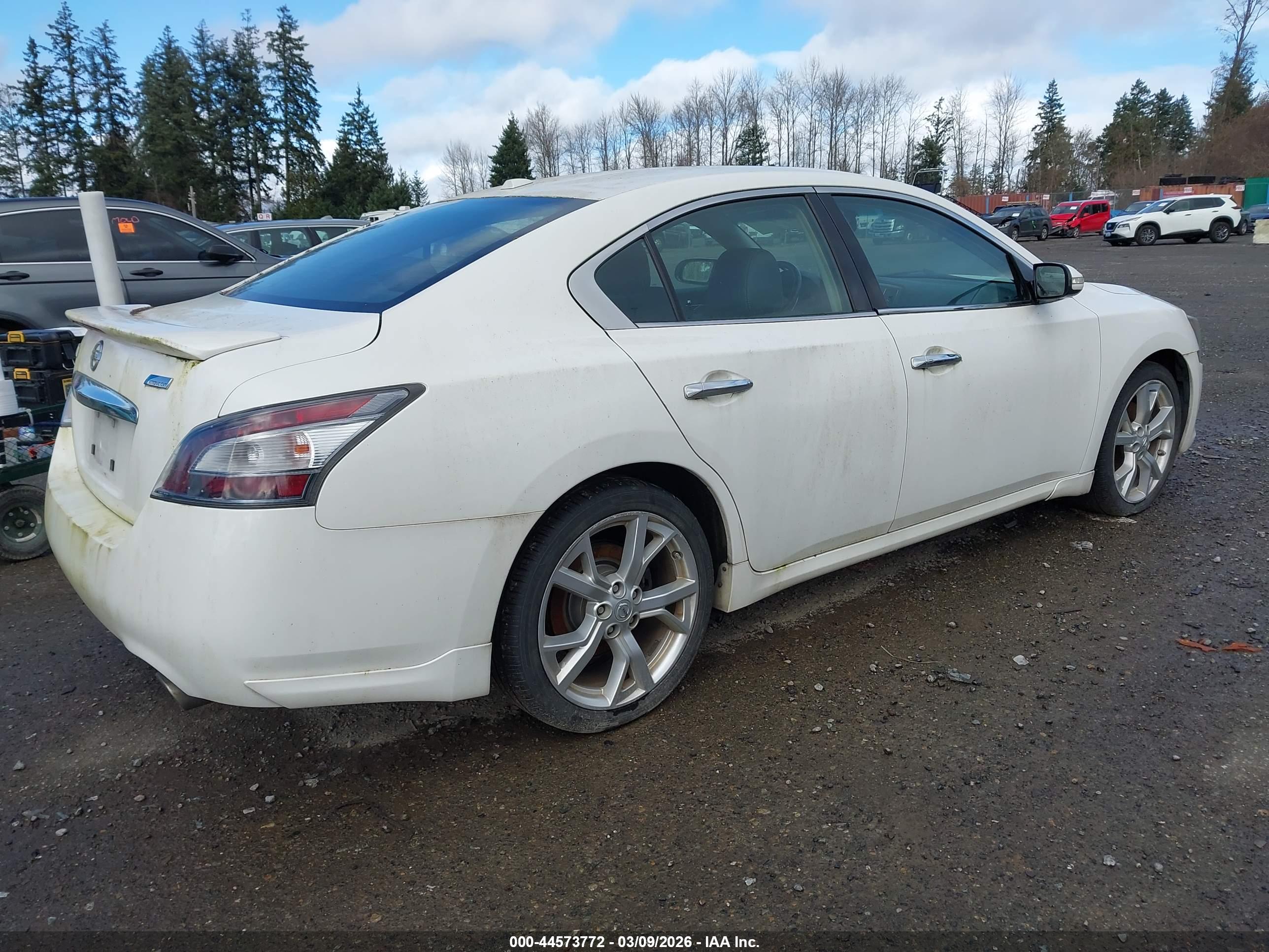 NISSAN MAXIMA image 4