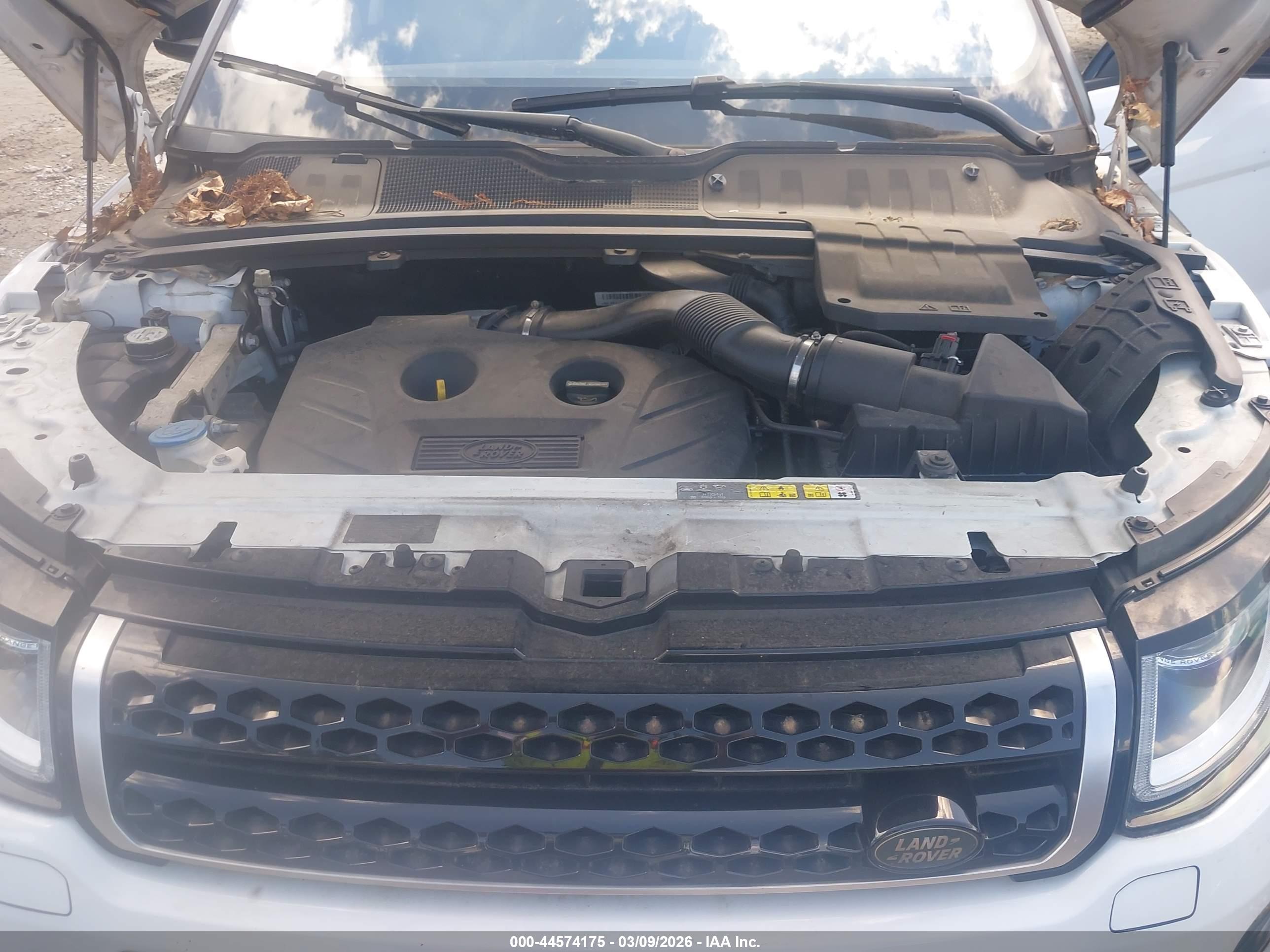 LAND ROVER image 10