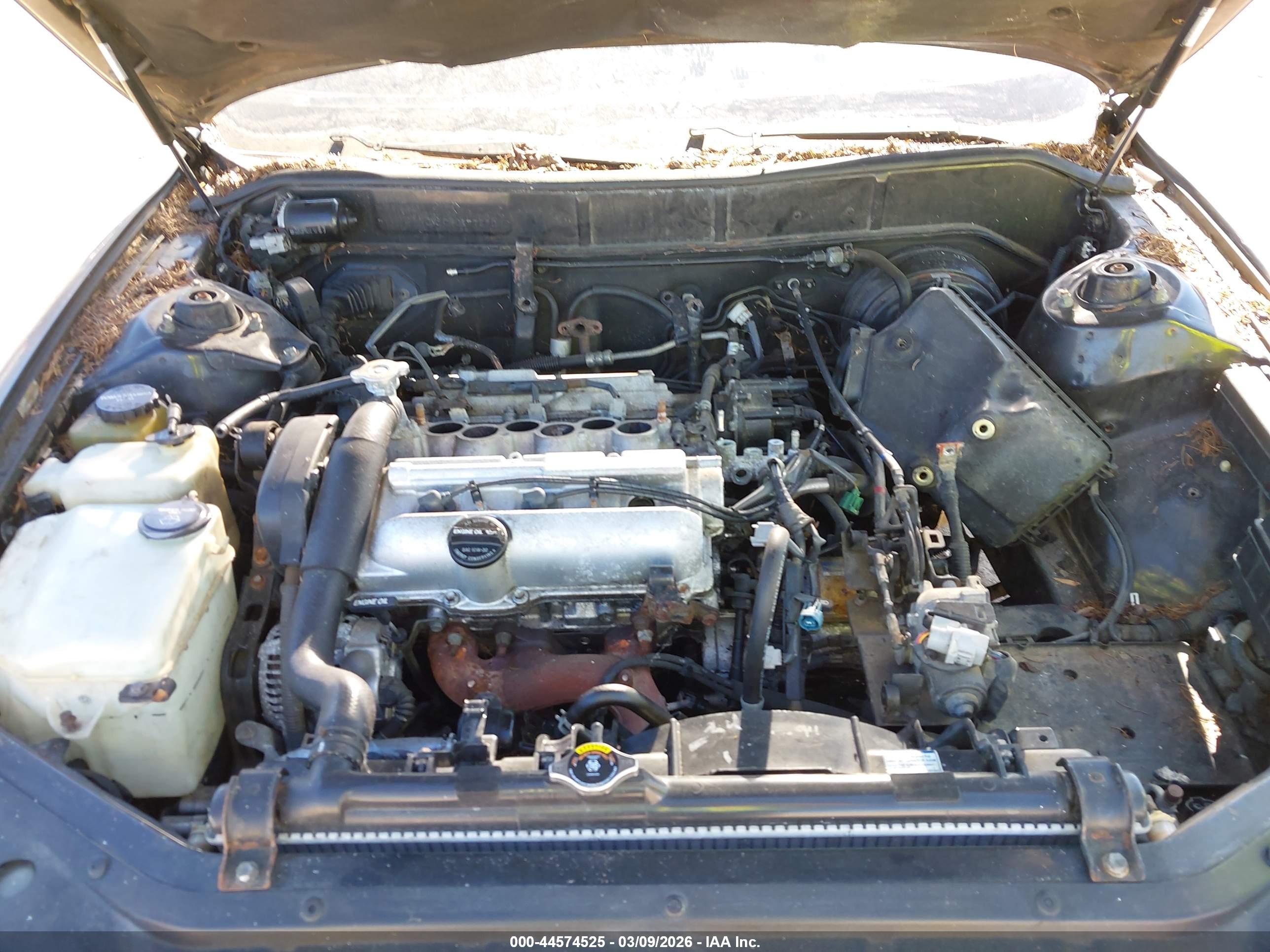 LEXUS ES image 6