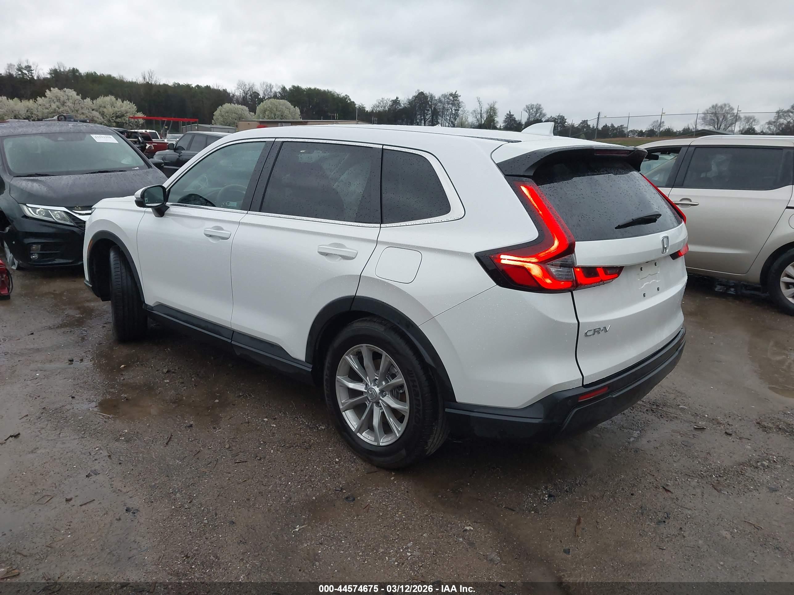 HONDA CR-V image 3