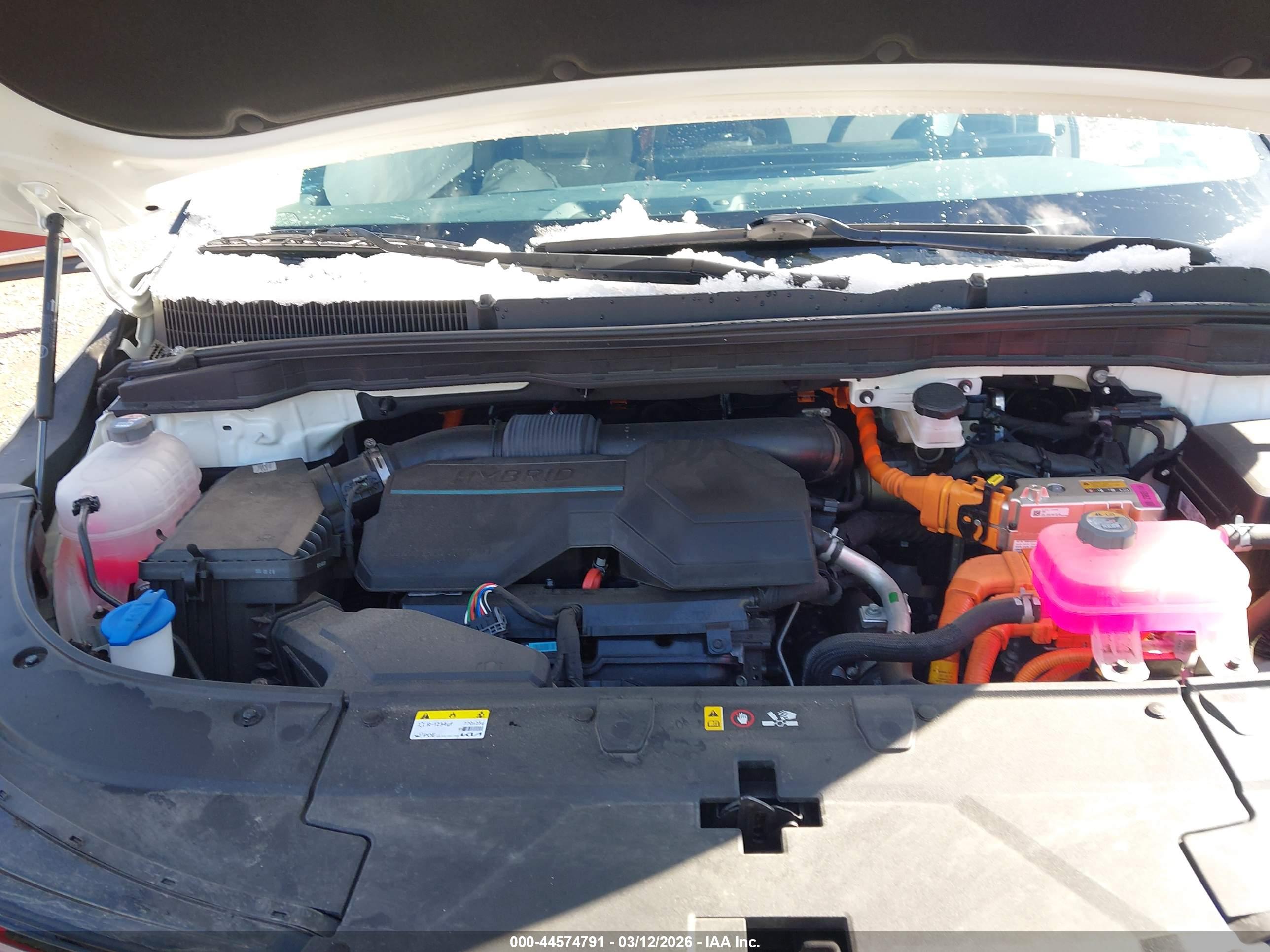 KIA CARNIVAL image 10
