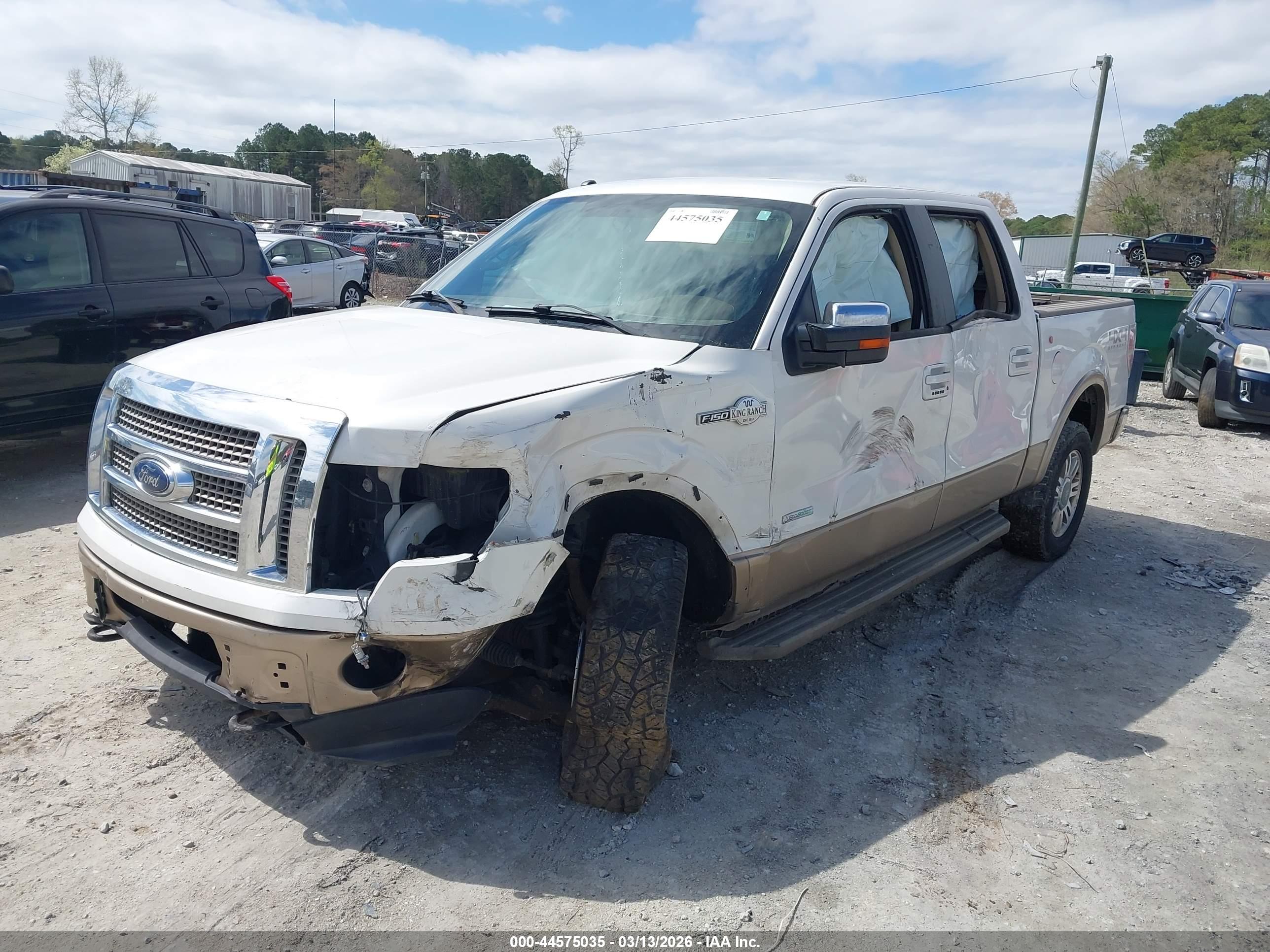 FORD F-150 image 2