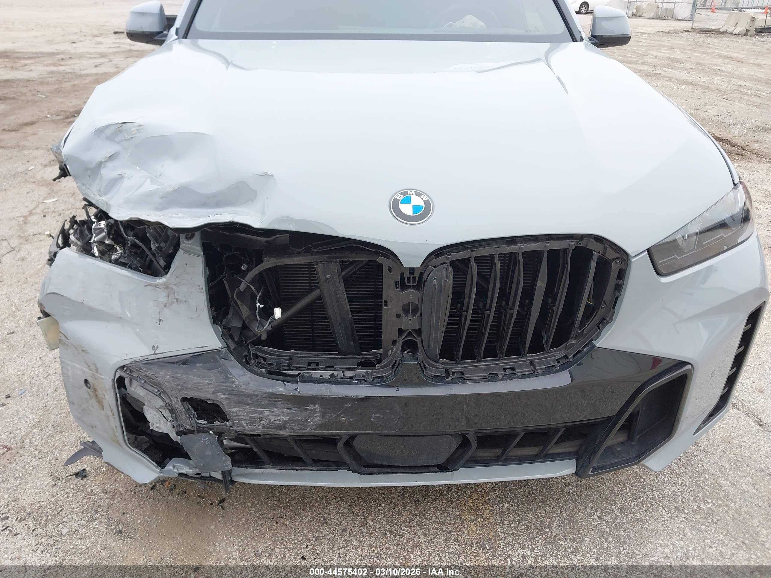 BMW X5 image 6