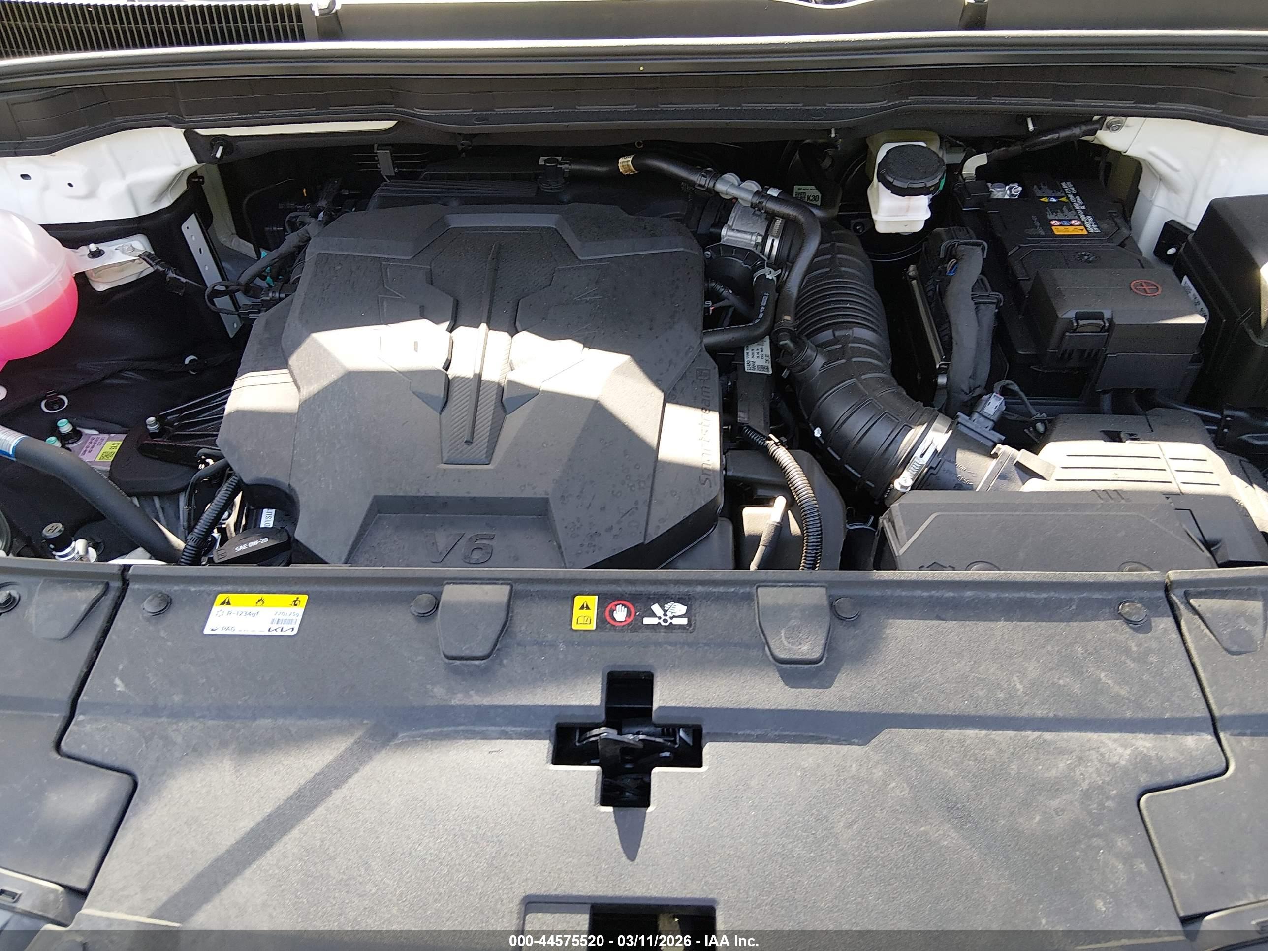 KIA CARNIVAL image 10