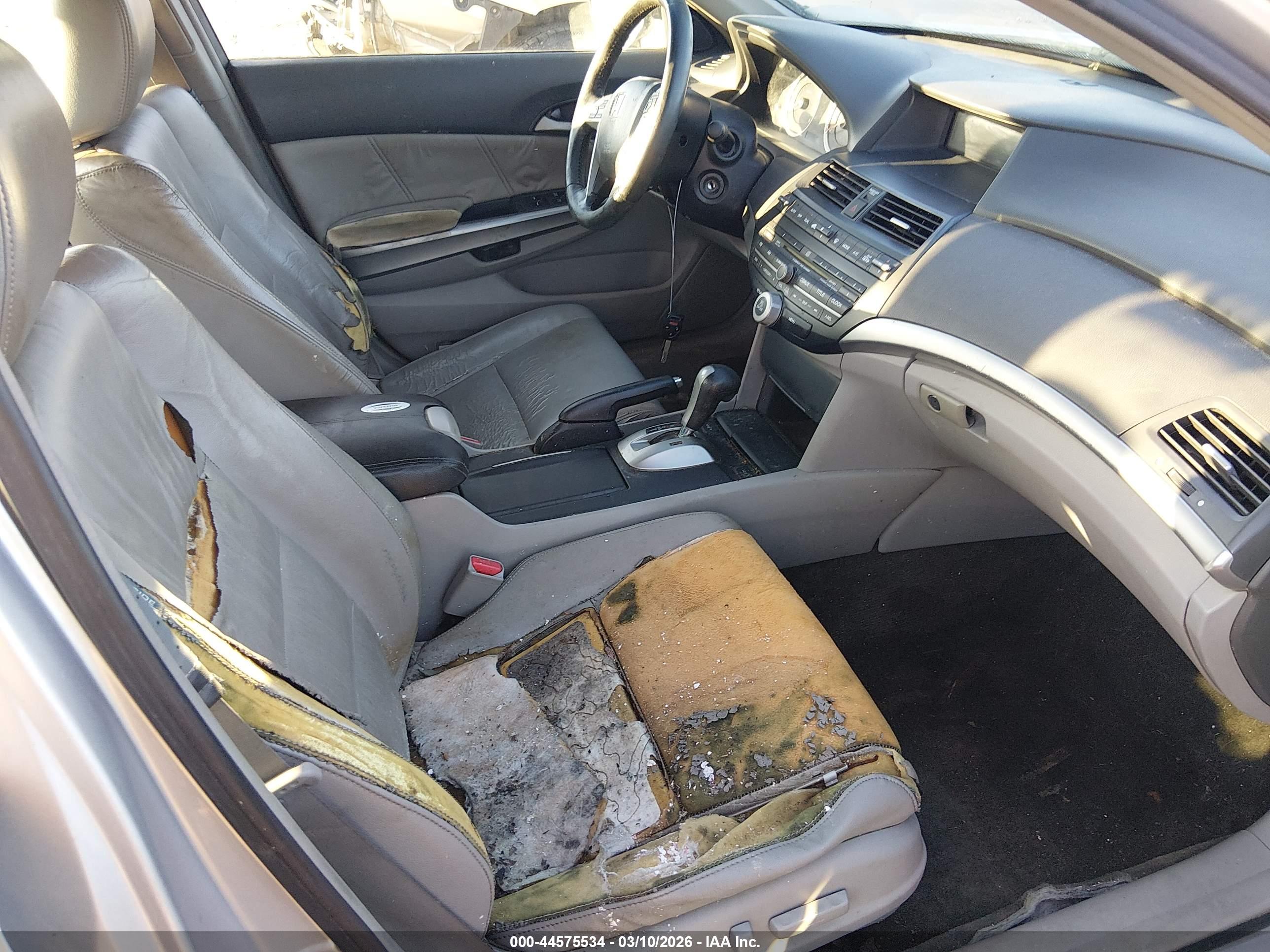 HONDA ACCORD image 5