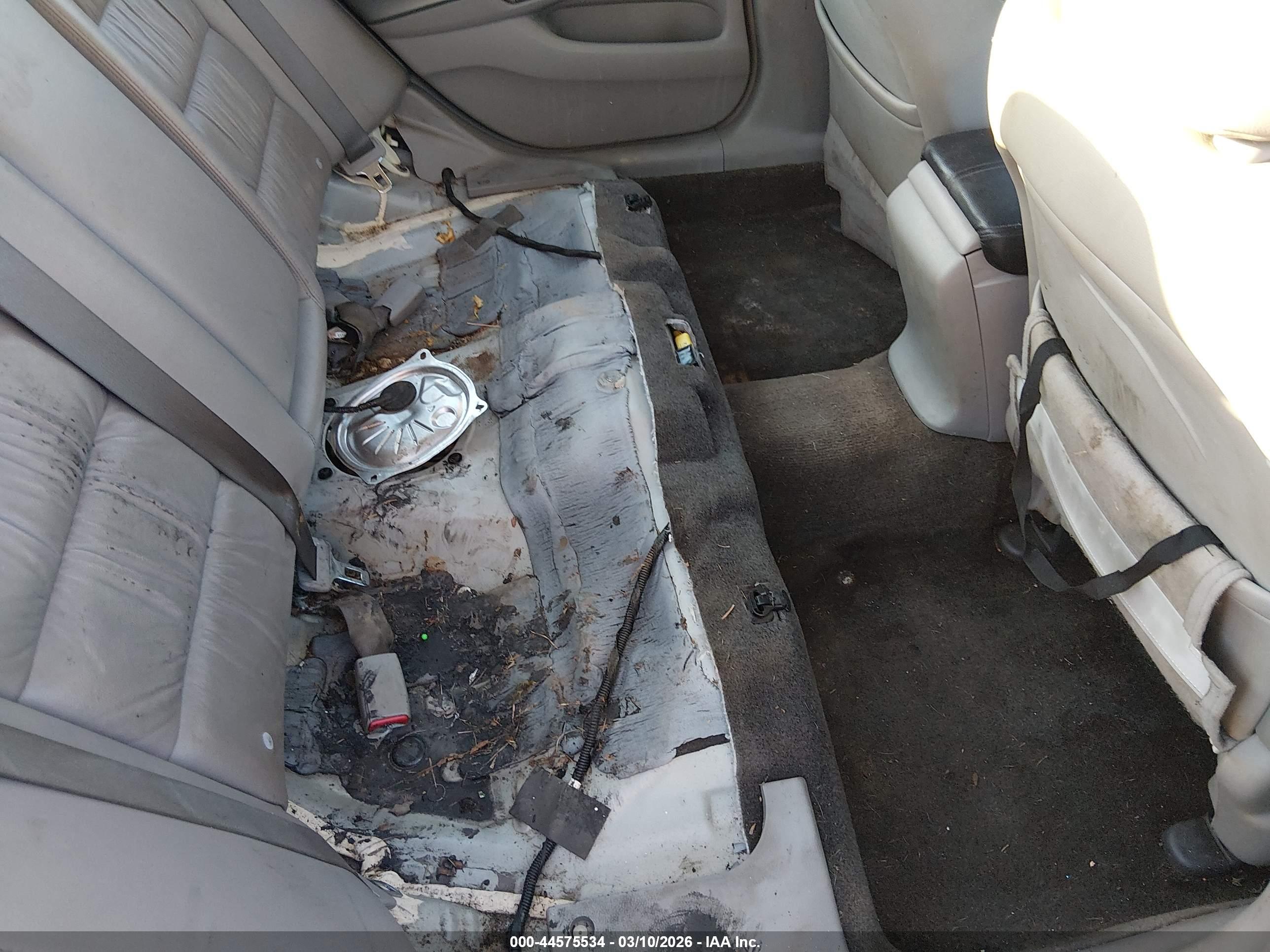 HONDA ACCORD image 8