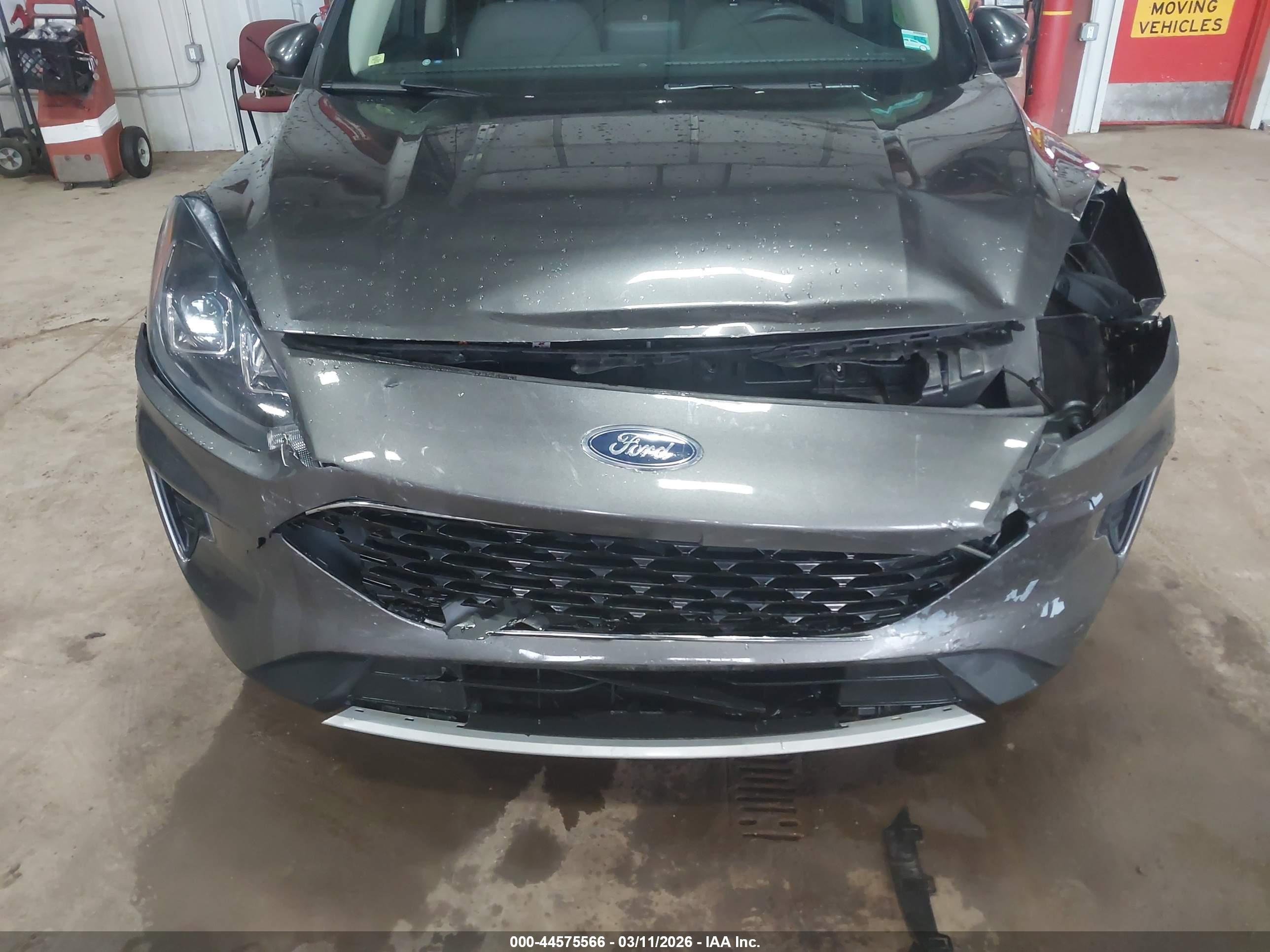 FORD ESCAPE image 6