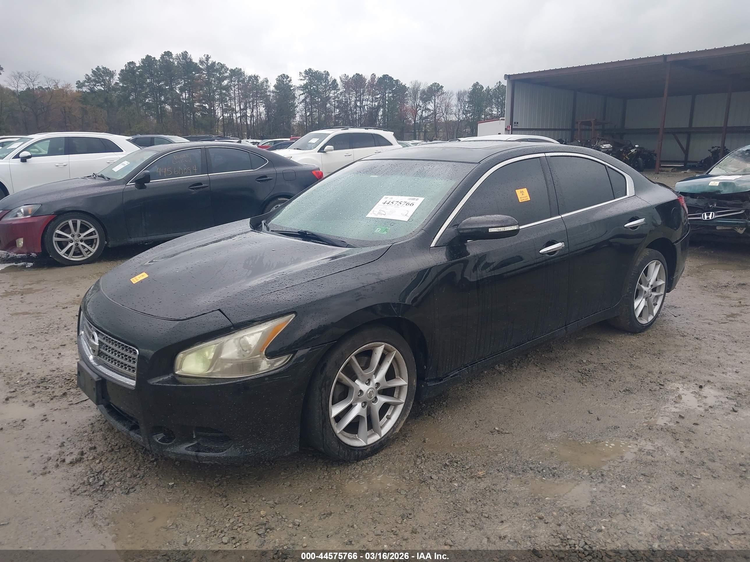 NISSAN MAXIMA image 2