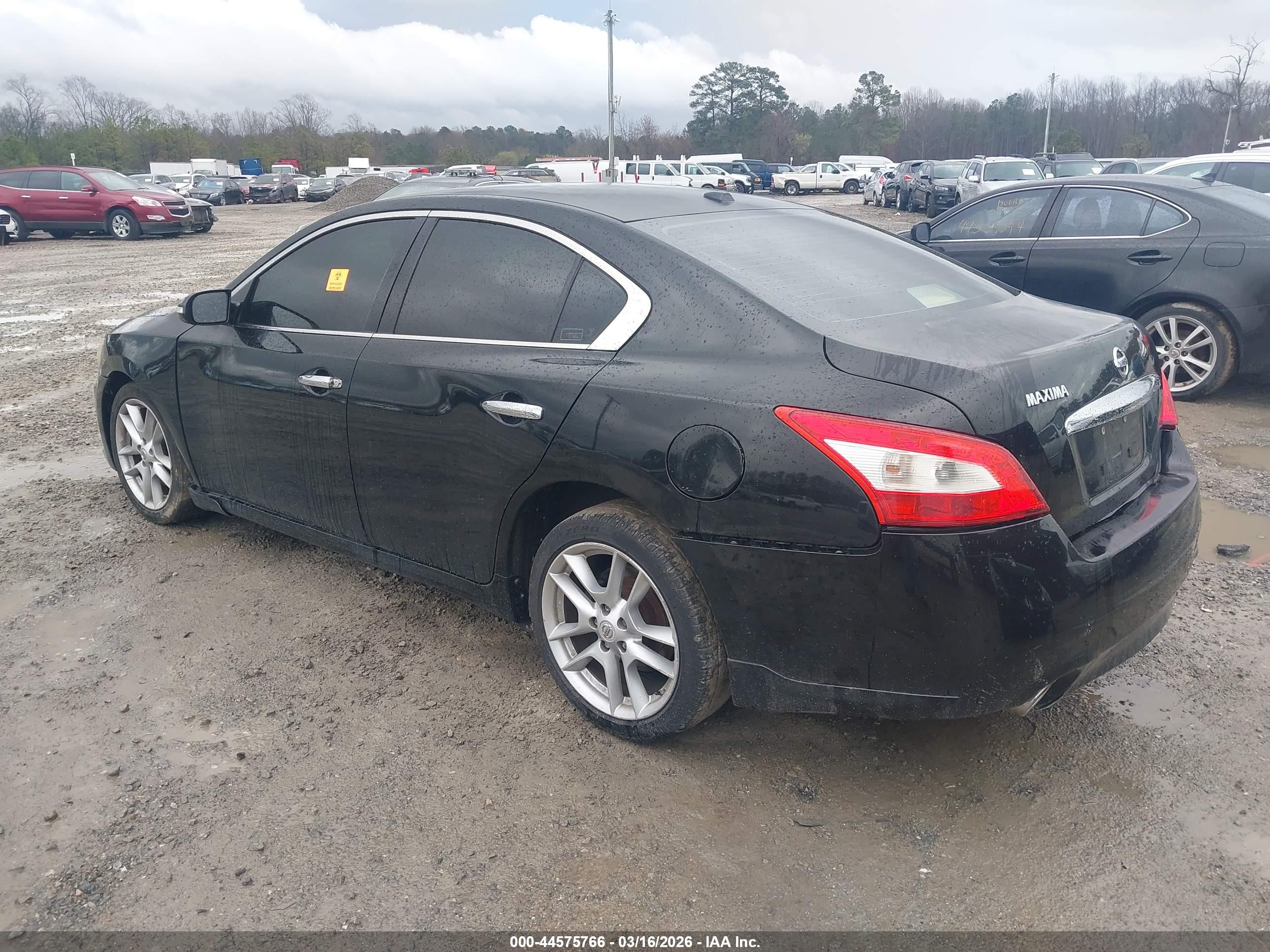 NISSAN MAXIMA image 3
