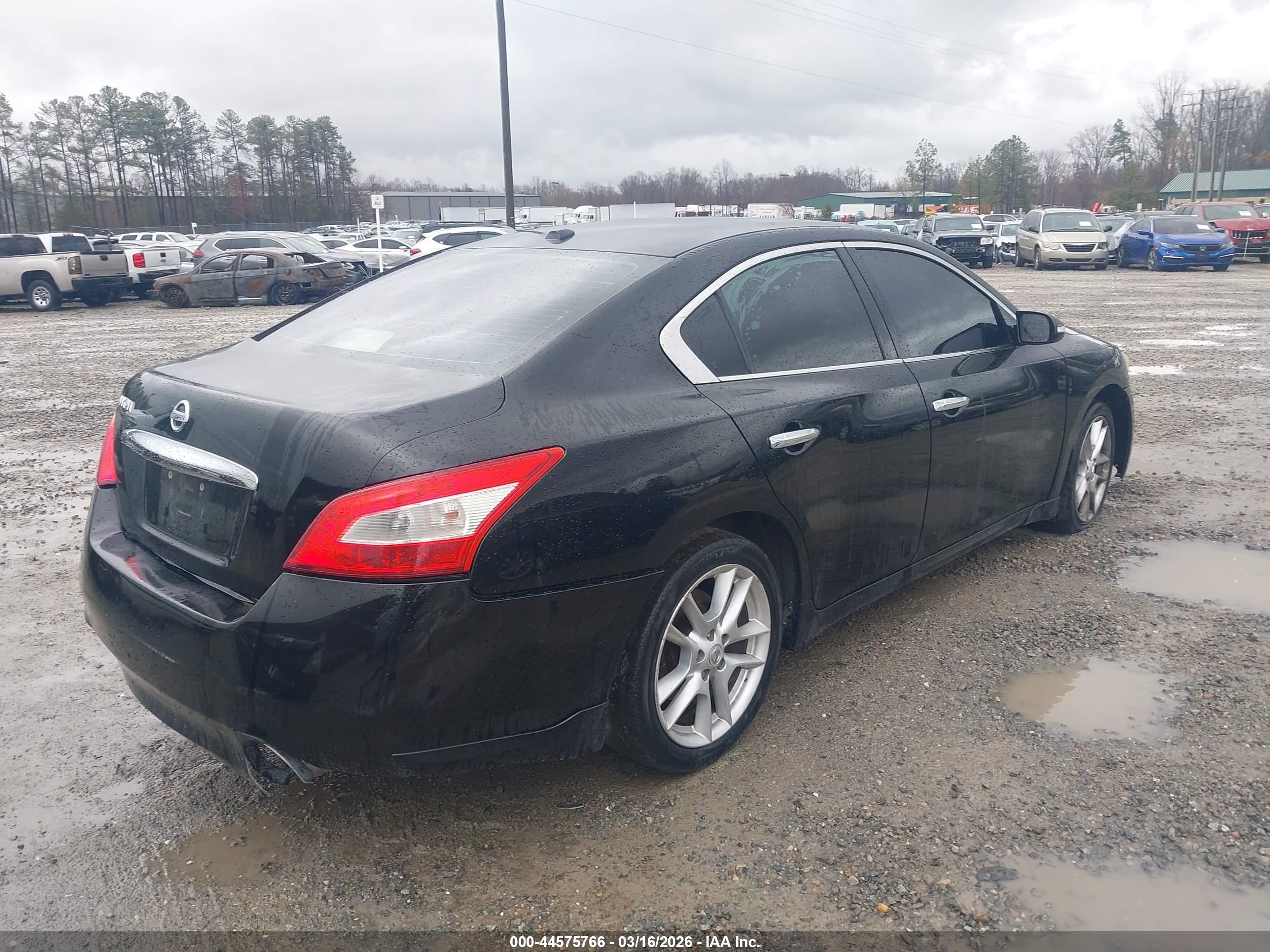 NISSAN MAXIMA image 4