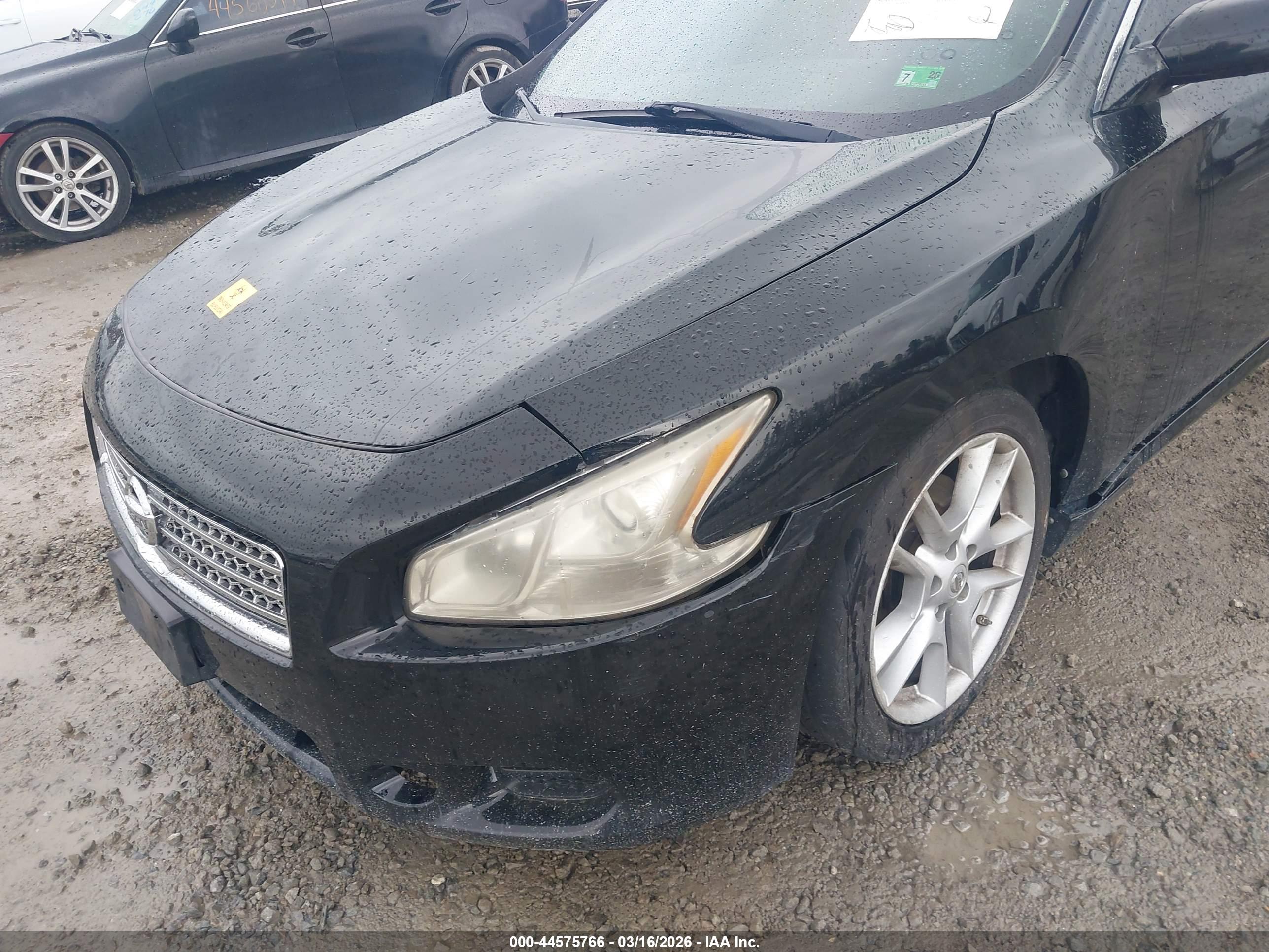 NISSAN MAXIMA image 6