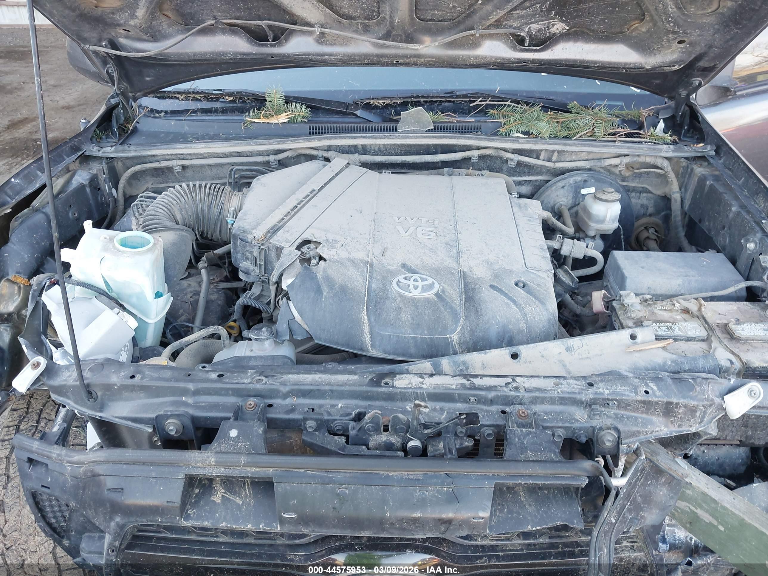 TOYOTA TACOMA image 10