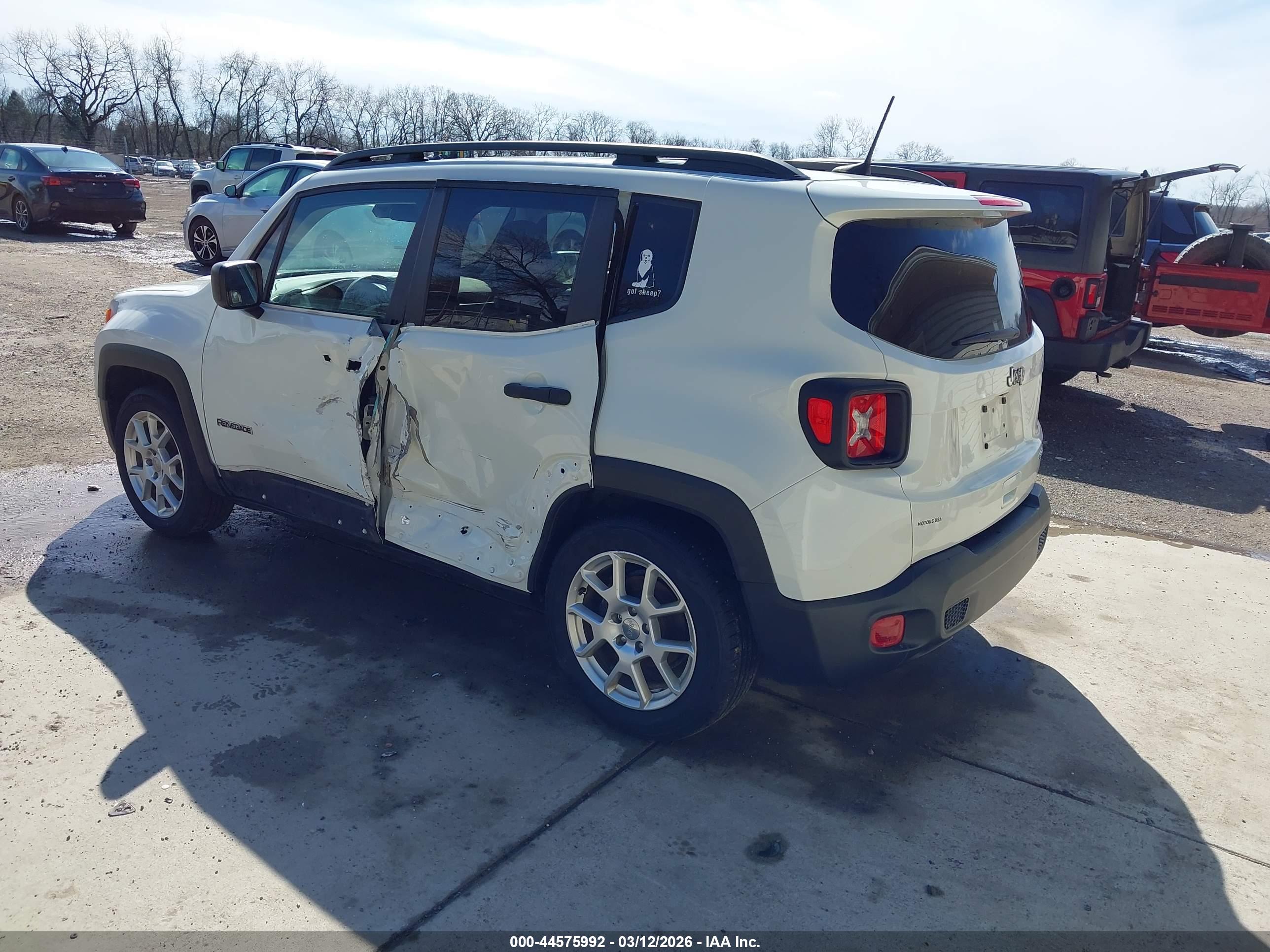 JEEP RENEGADE image 3