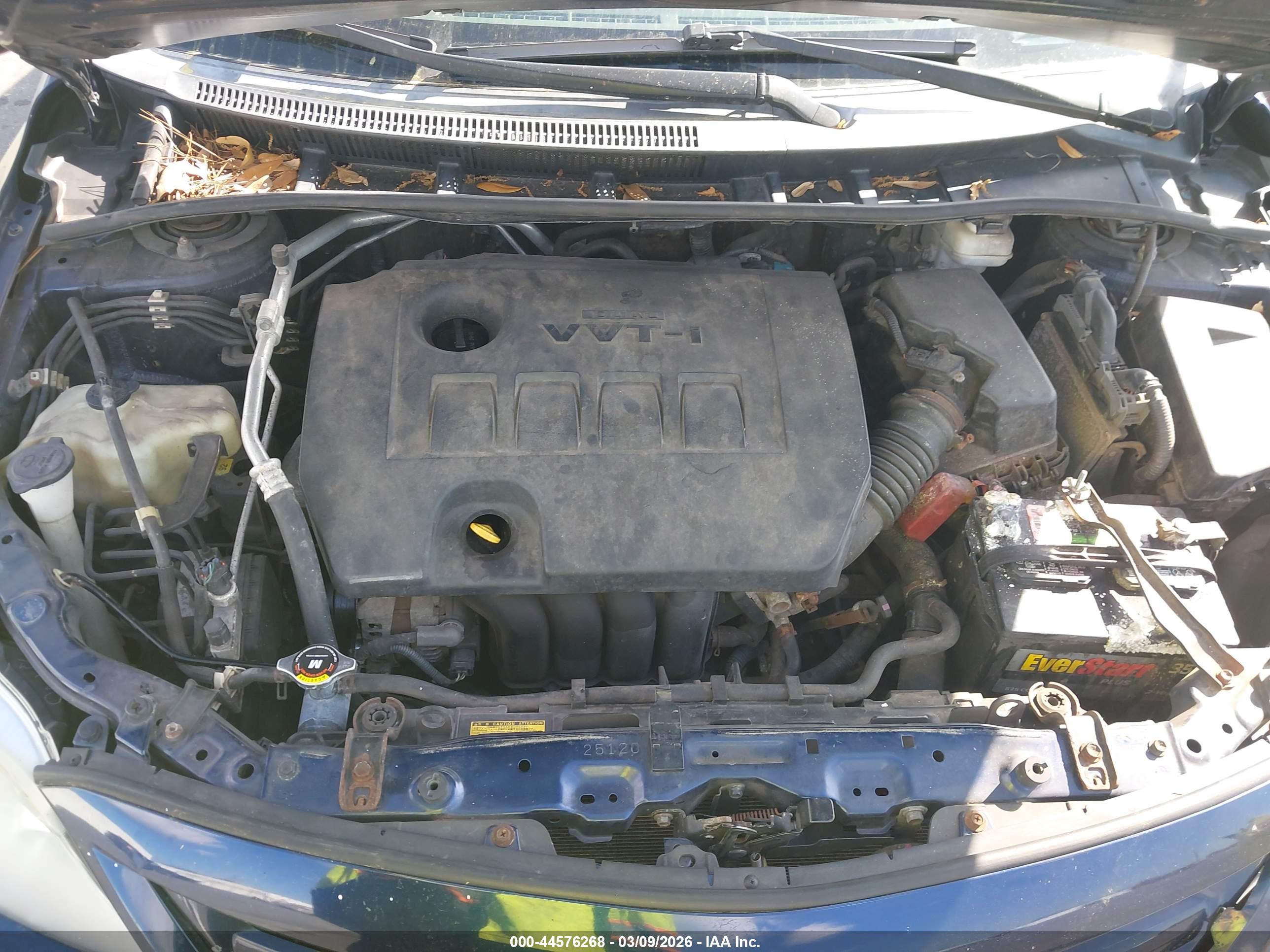 TOYOTA COROLLA image 10