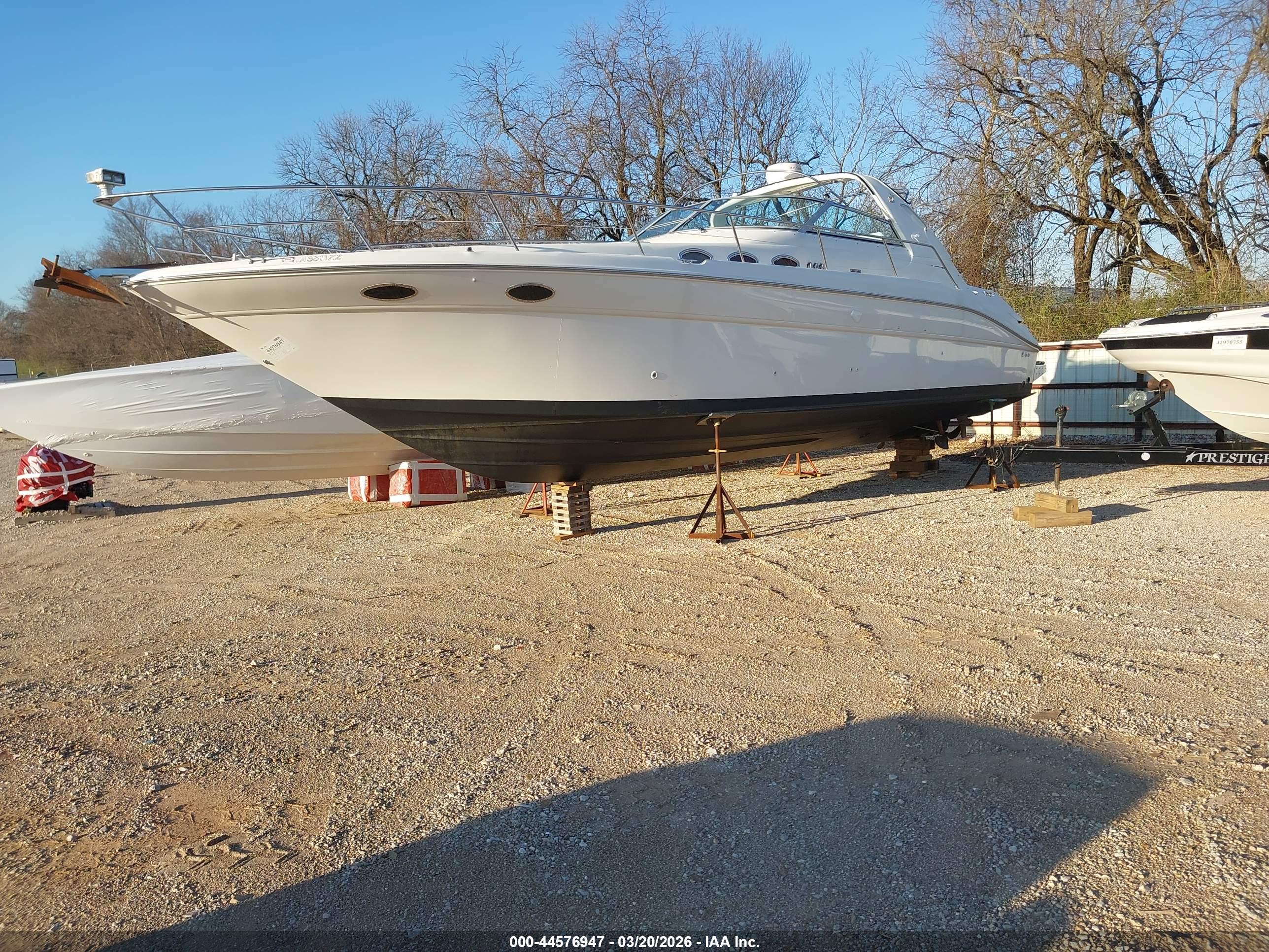 SEA RAY image 2