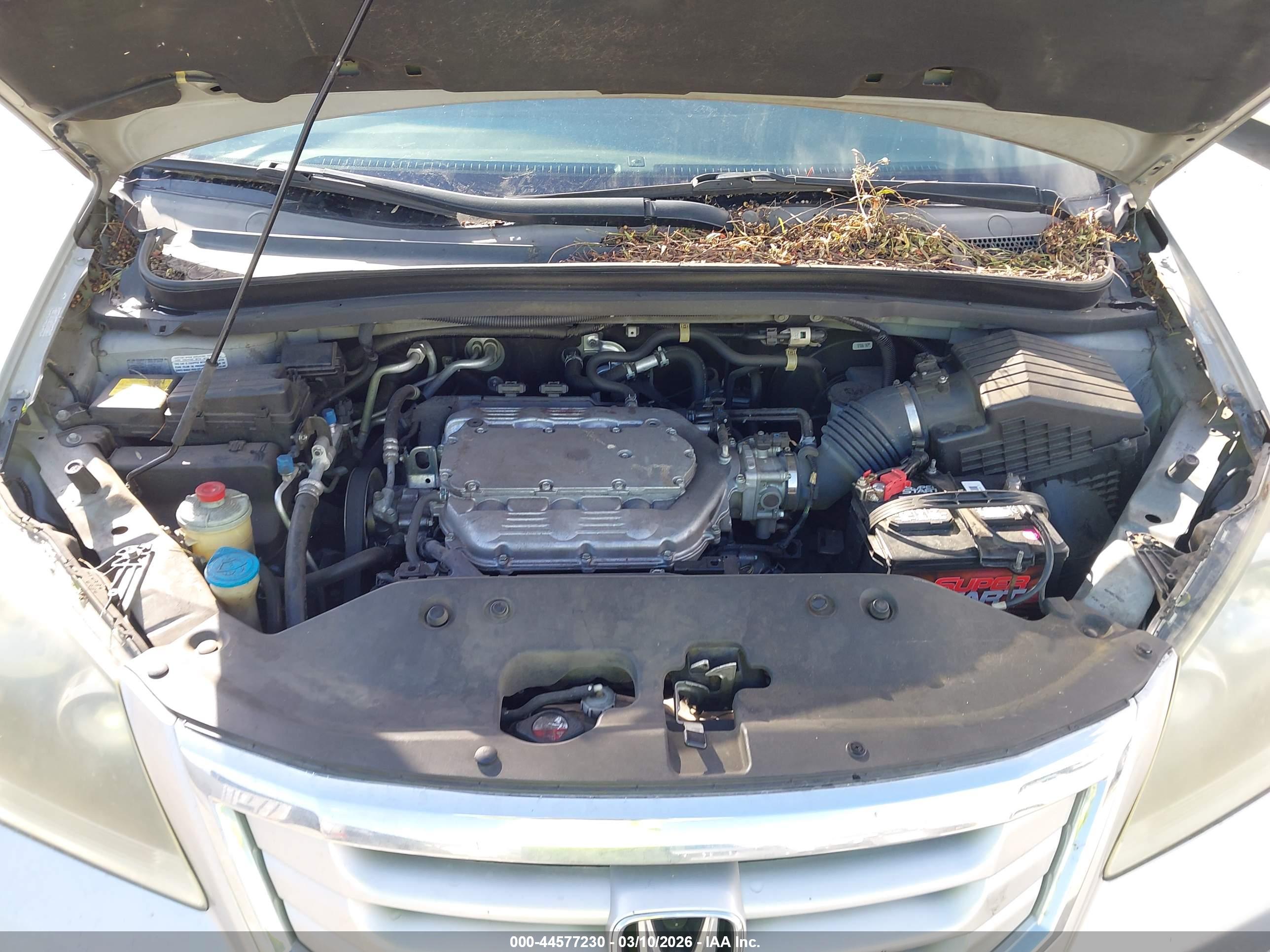 HONDA ODYSSEY image 10
