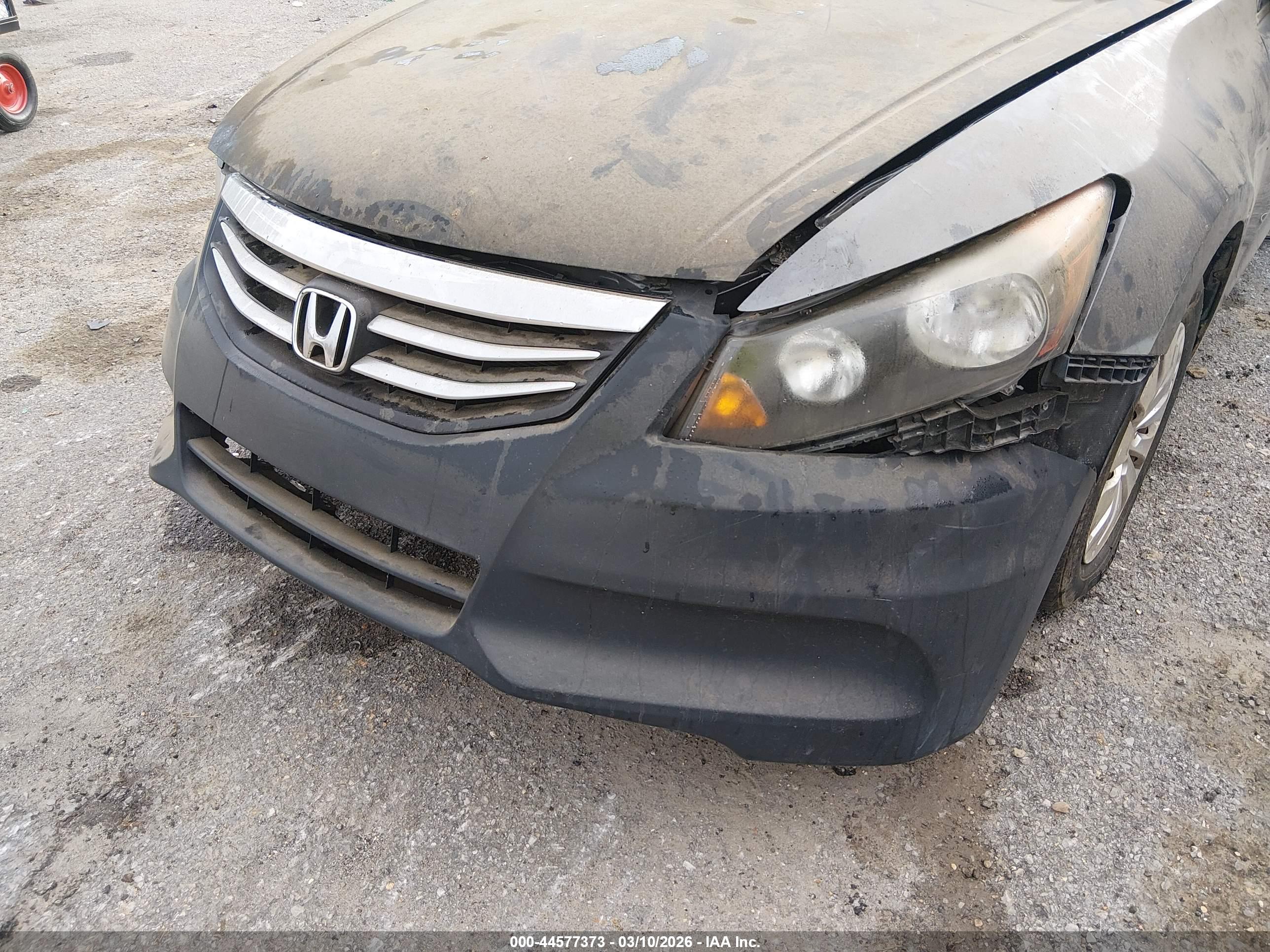 HONDA ACCORD image 6