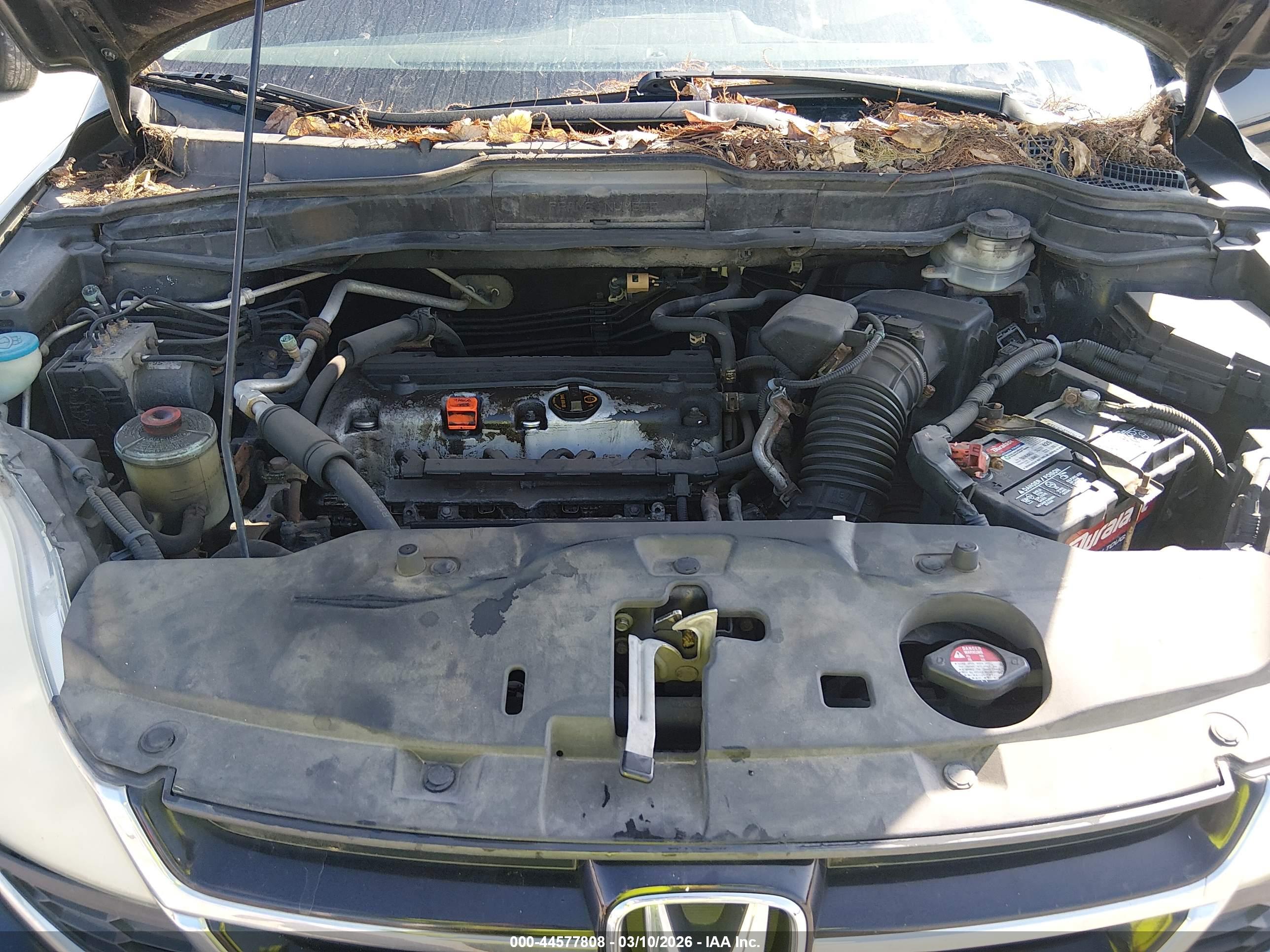 HONDA CR-V image 10