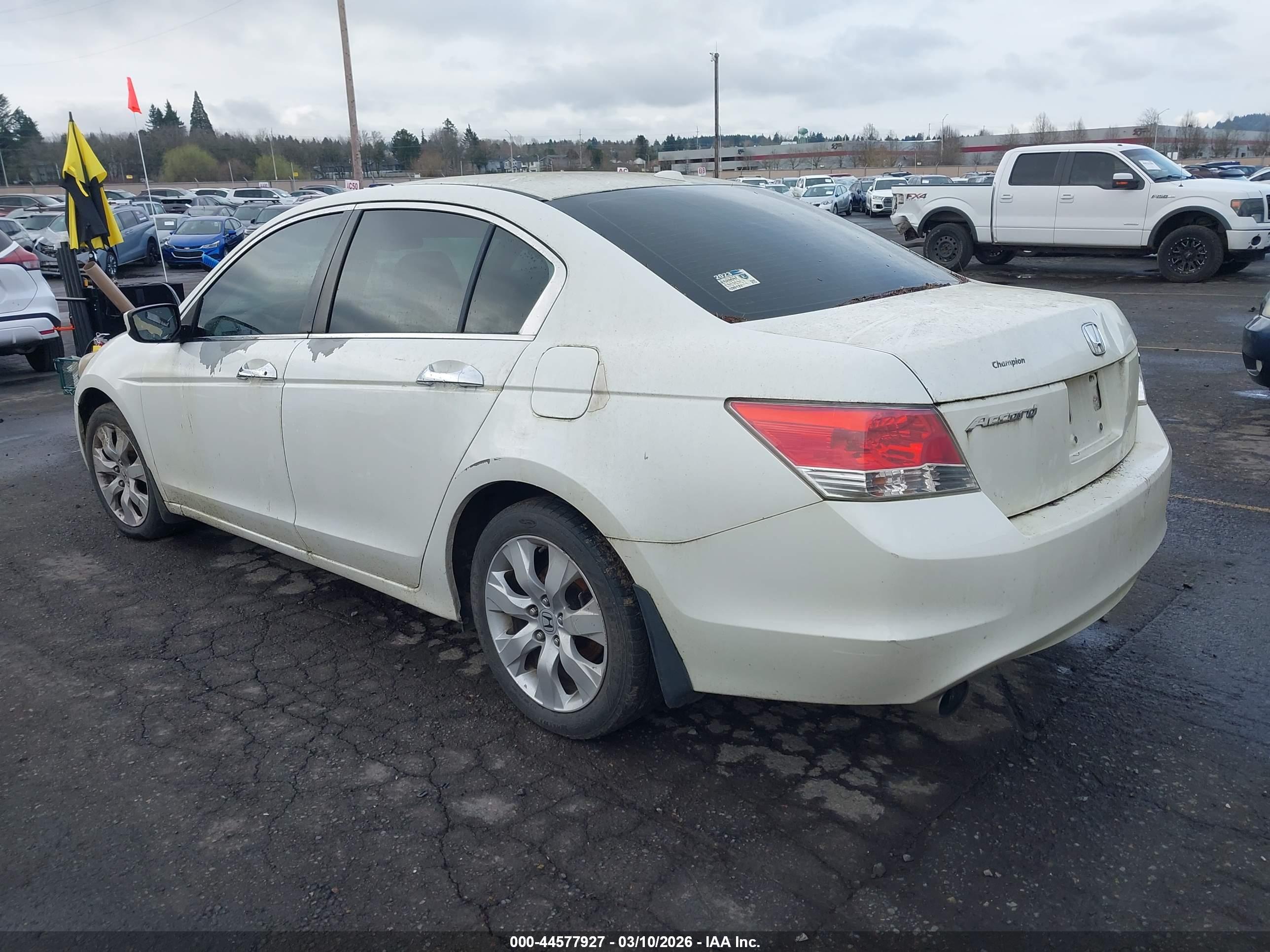 HONDA ACCORD image 3