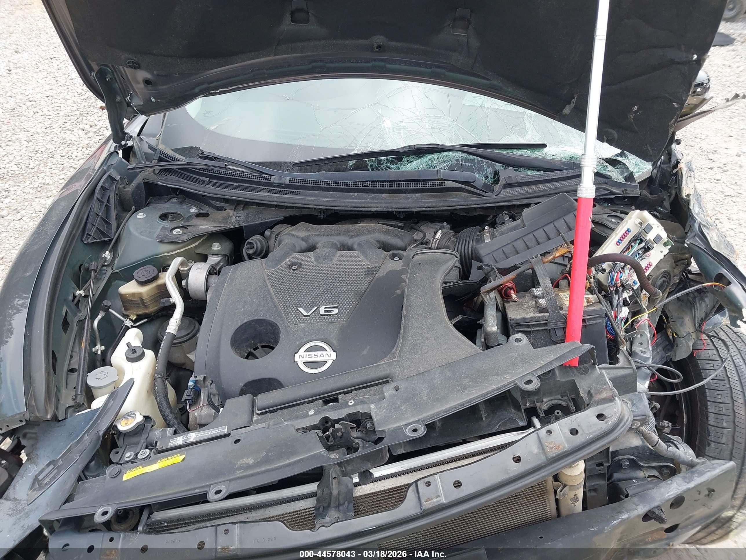 NISSAN MAXIMA image 10