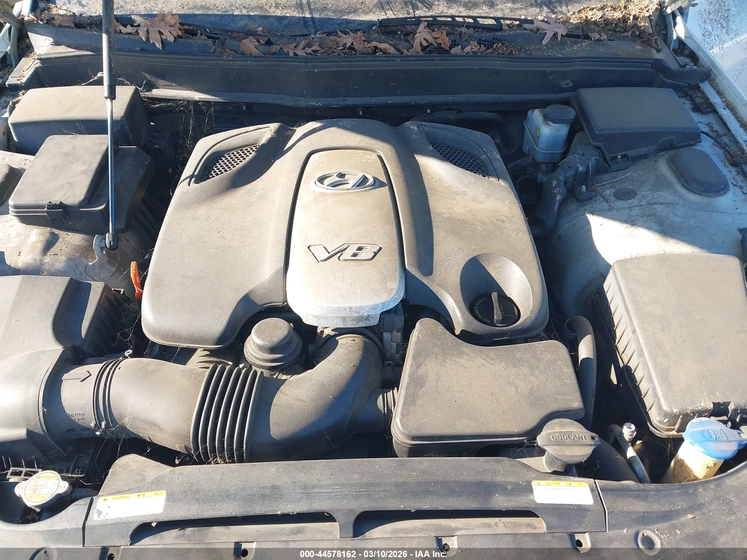 HYUNDAI GENESIS image 10
