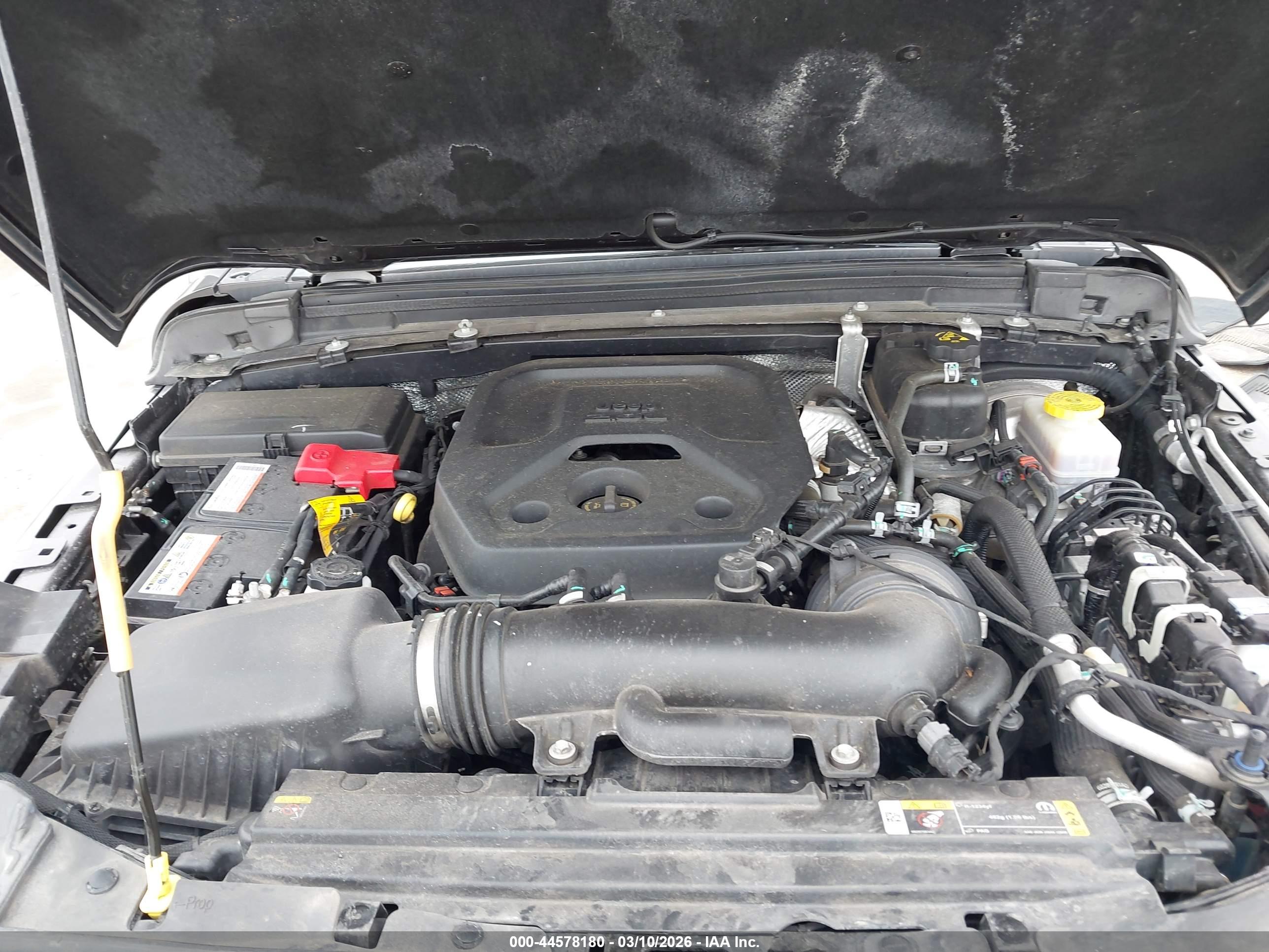 JEEP WRANGLER image 10