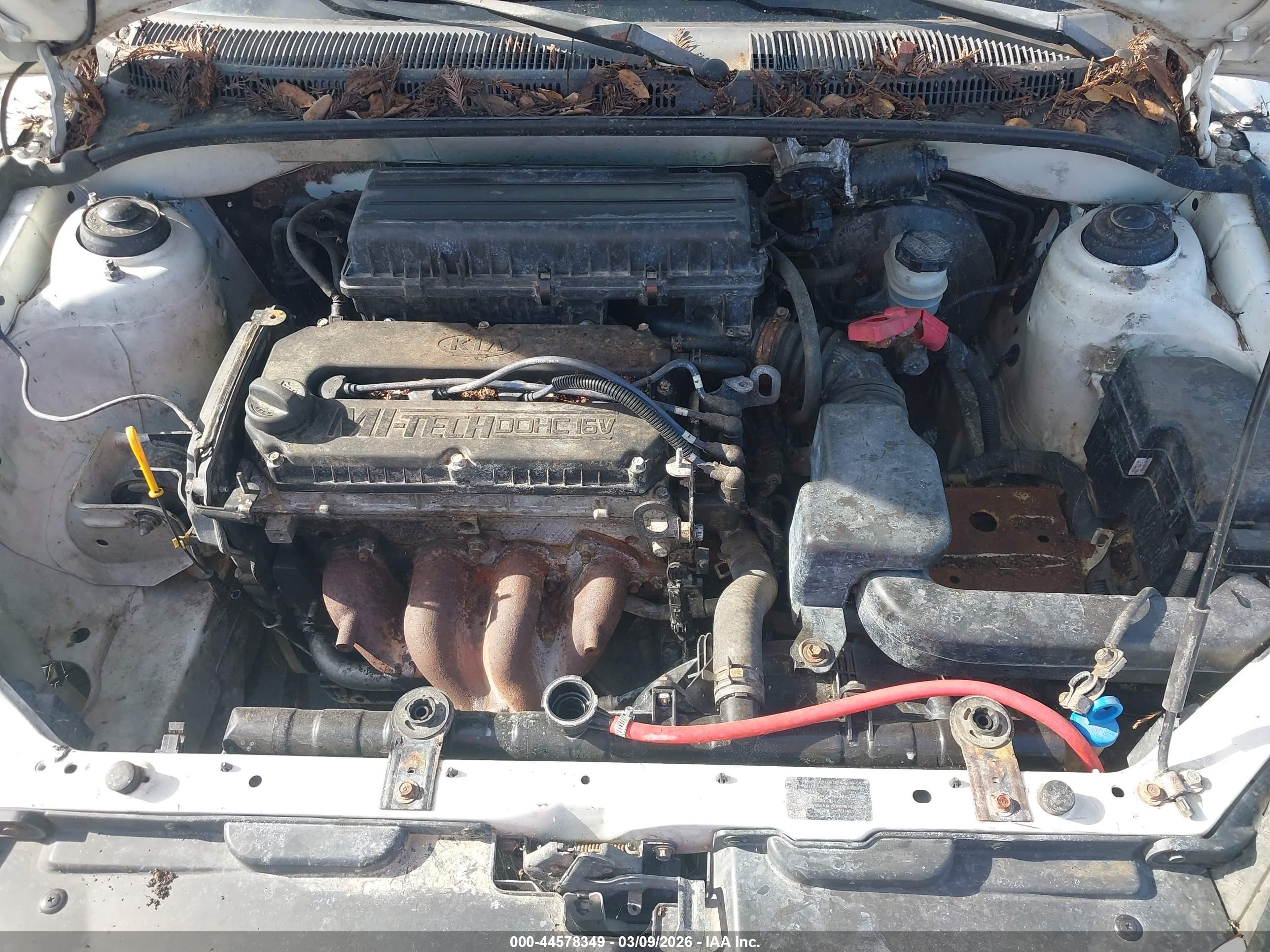 KIA RIO image 10