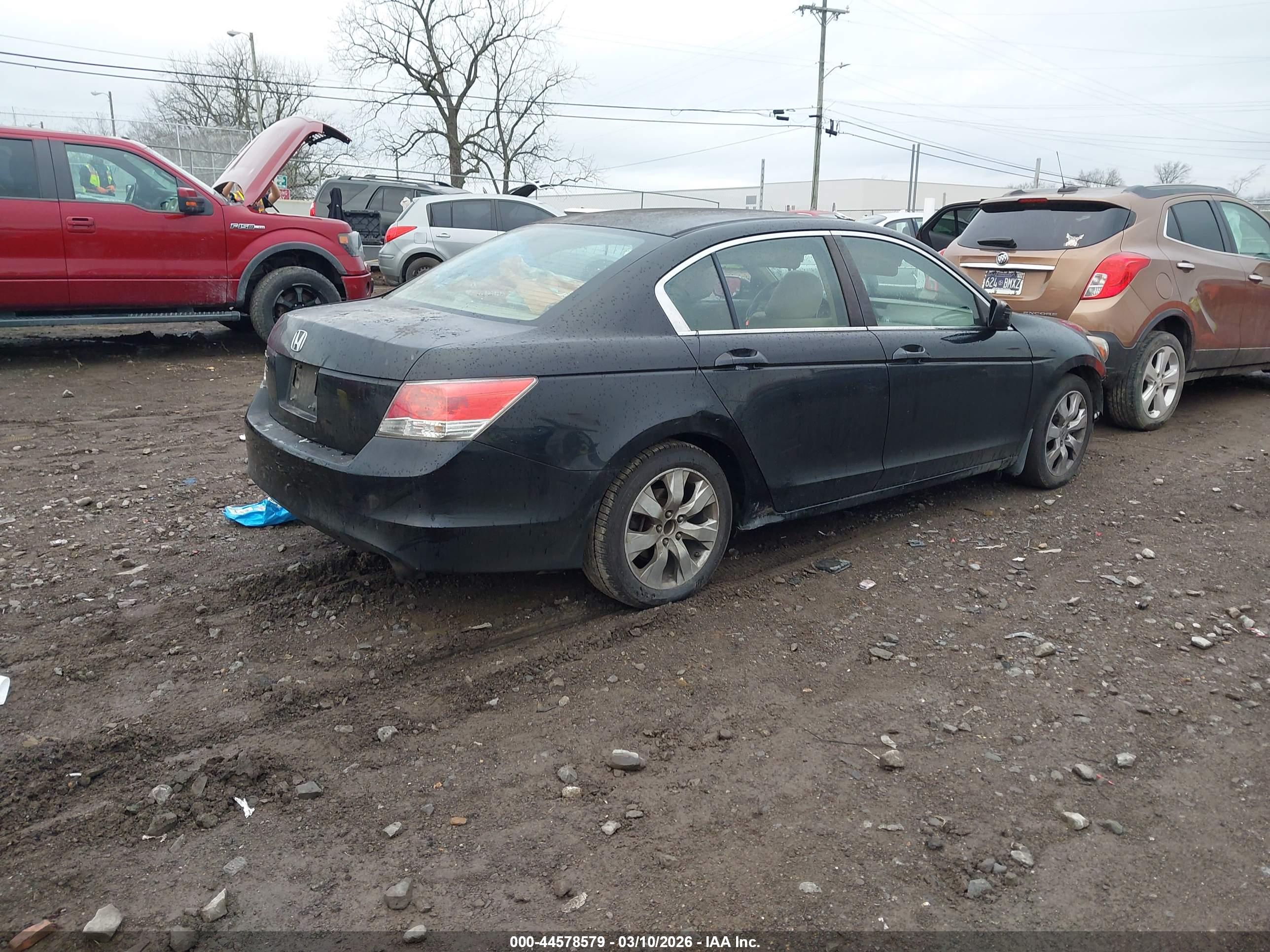 HONDA ACCORD image 4