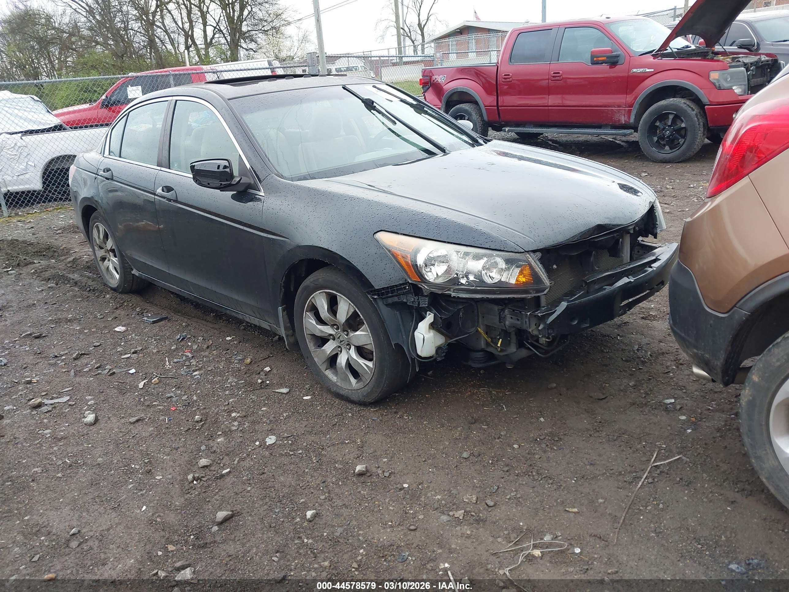 HONDA ACCORD image 6