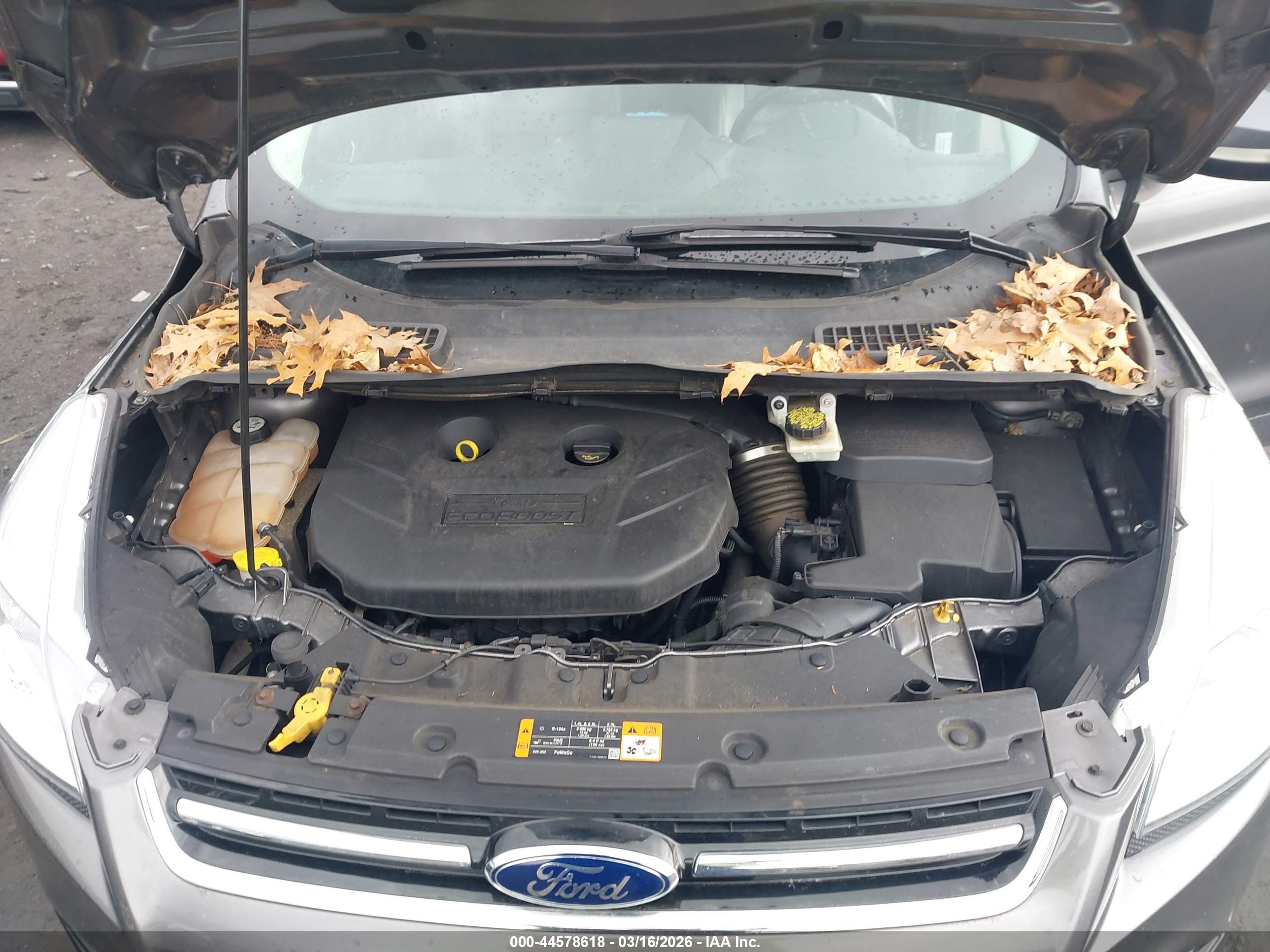 FORD ESCAPE image 10