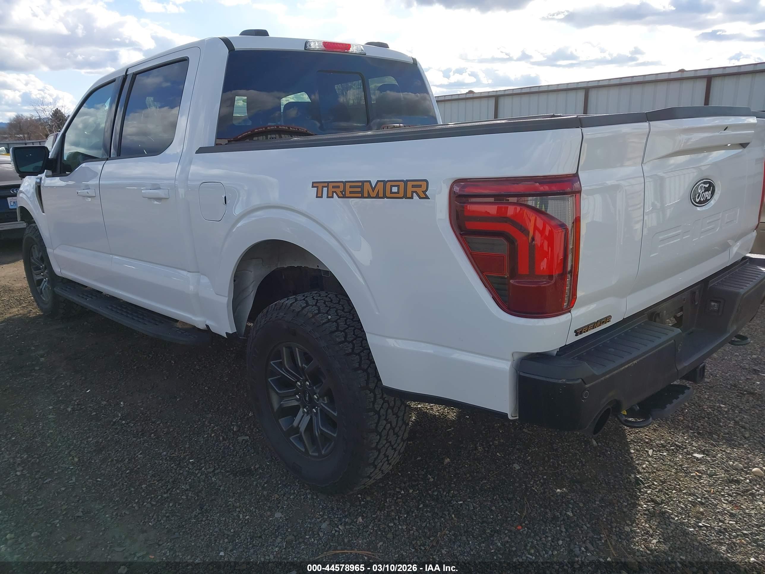 FORD F-150 image 3