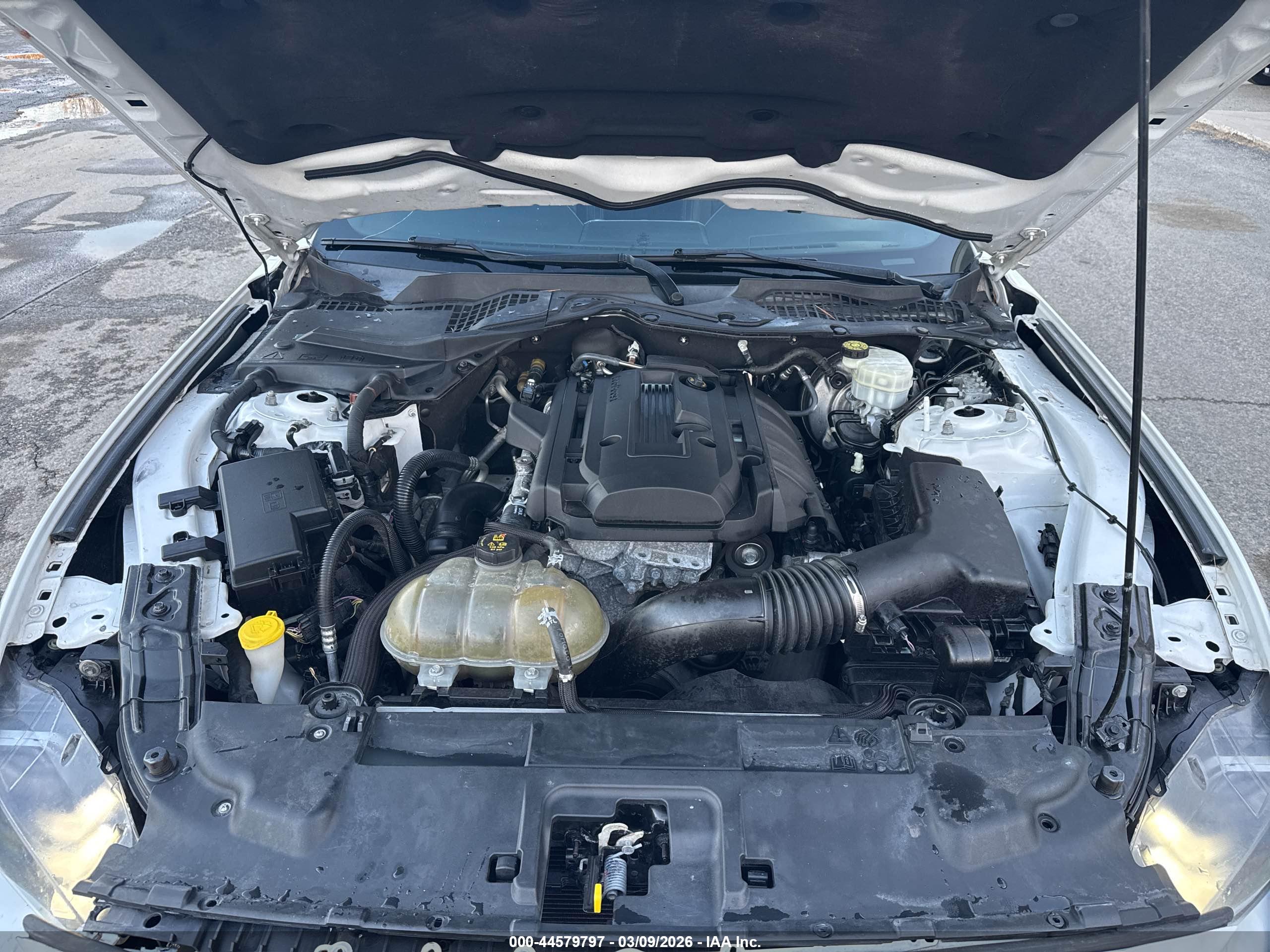 FORD MUSTANG image 10