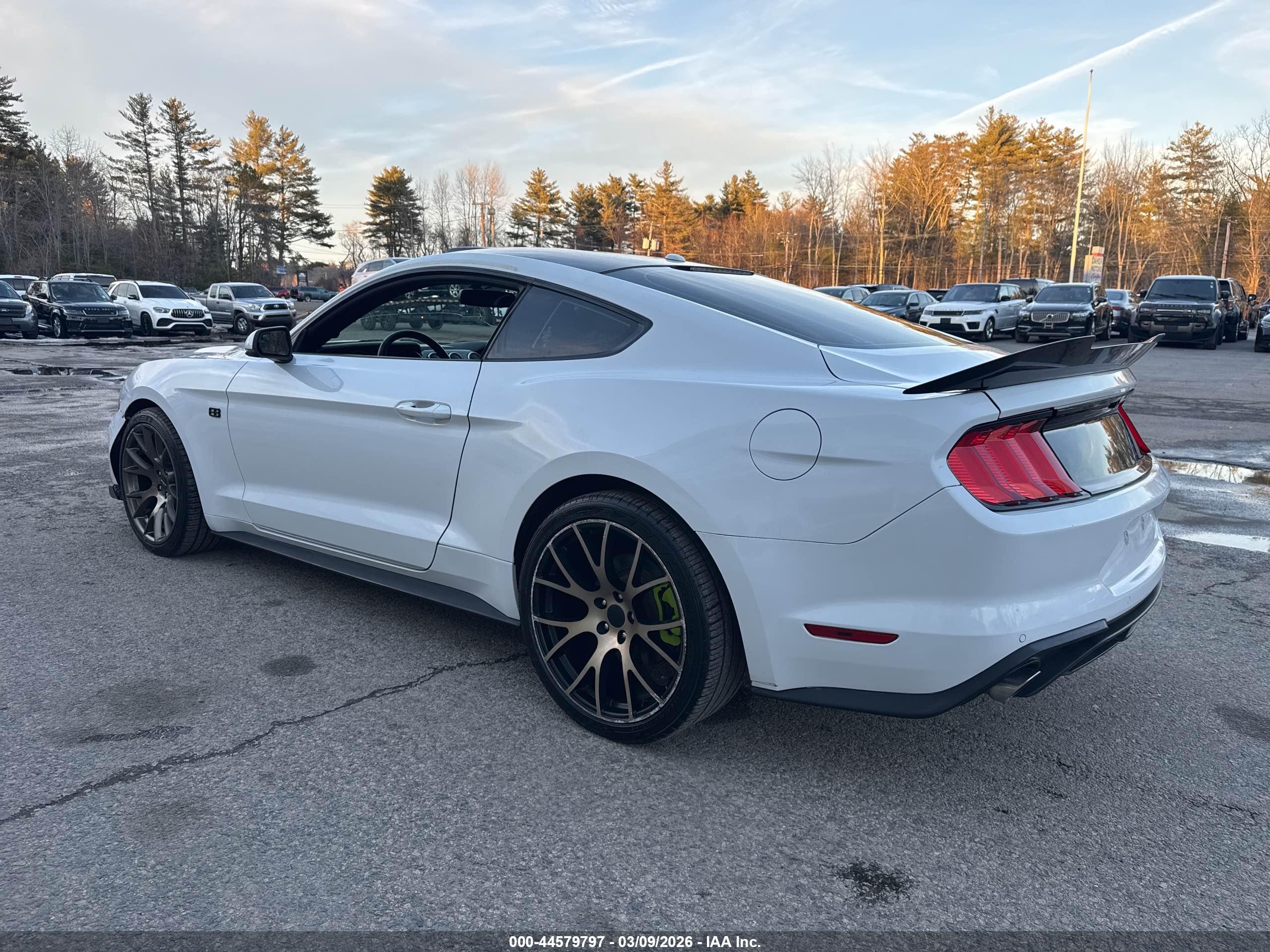 FORD MUSTANG image 3
