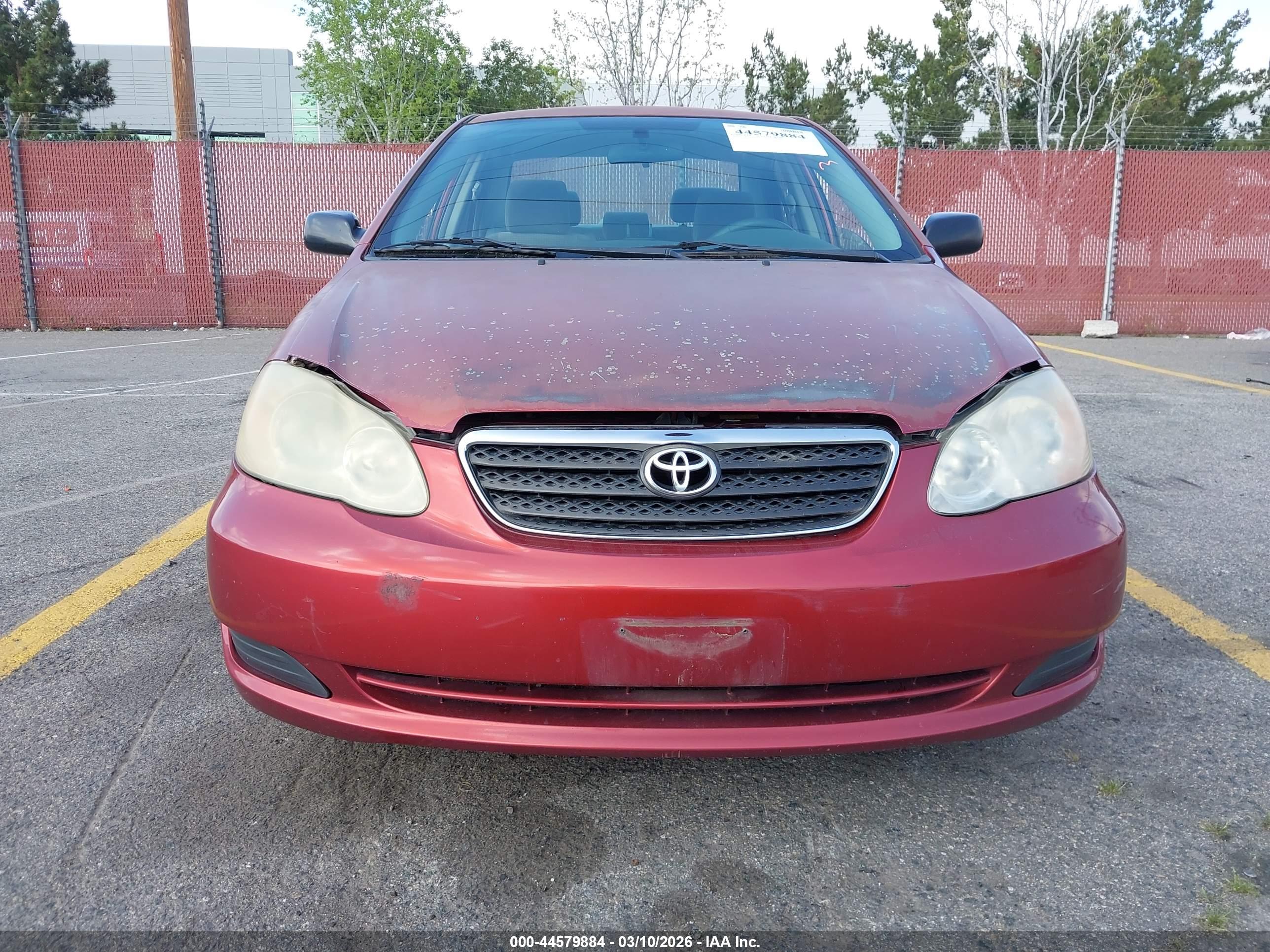 TOYOTA COROLLA image 6