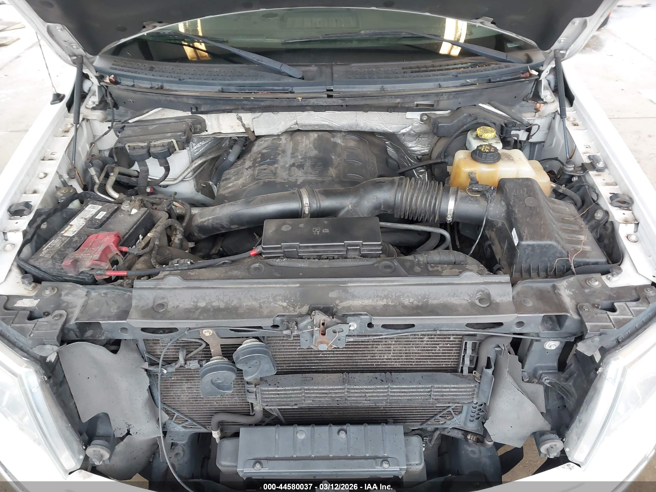 FORD F-150 image 10