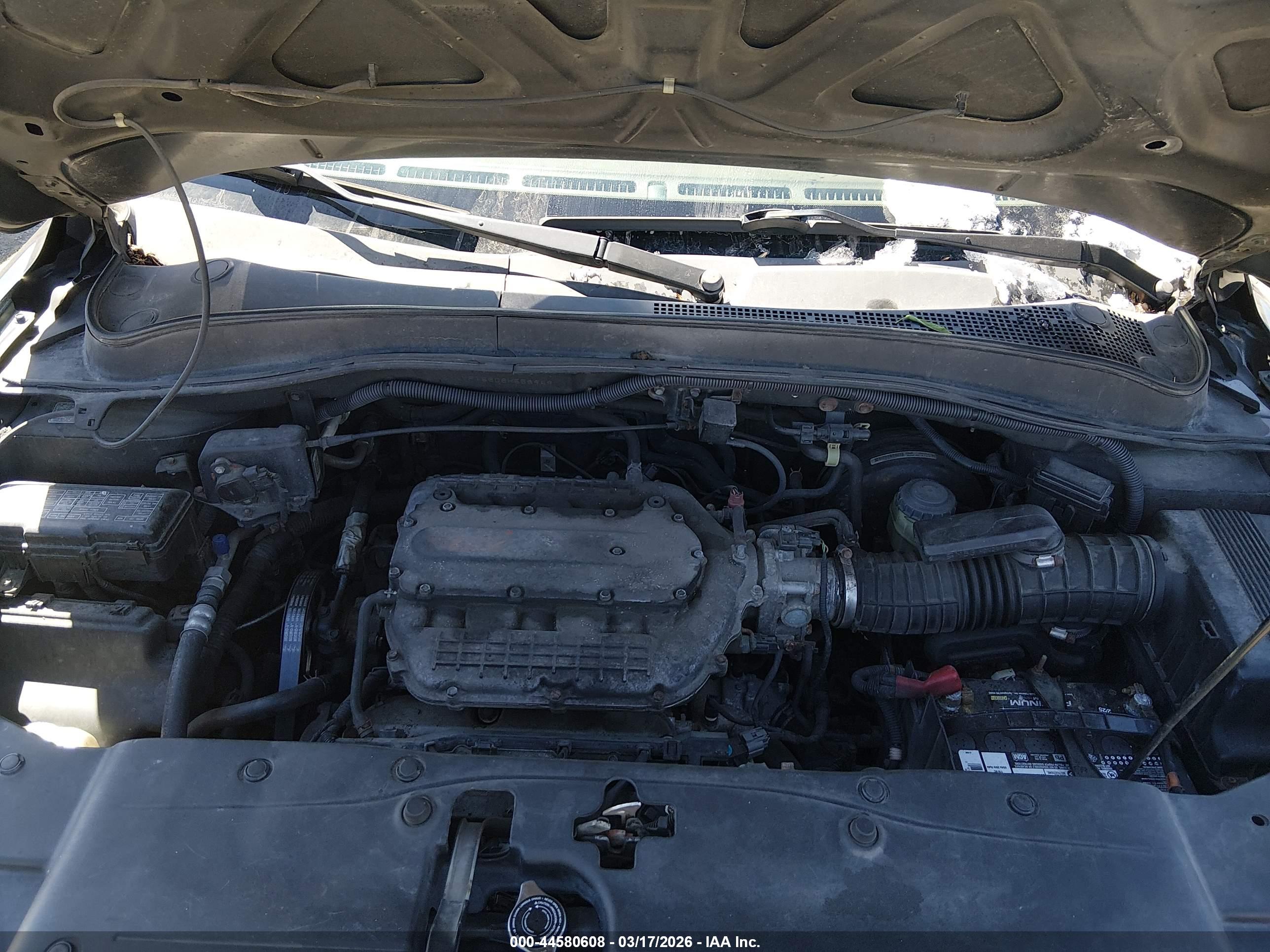 HONDA PILOT image 10