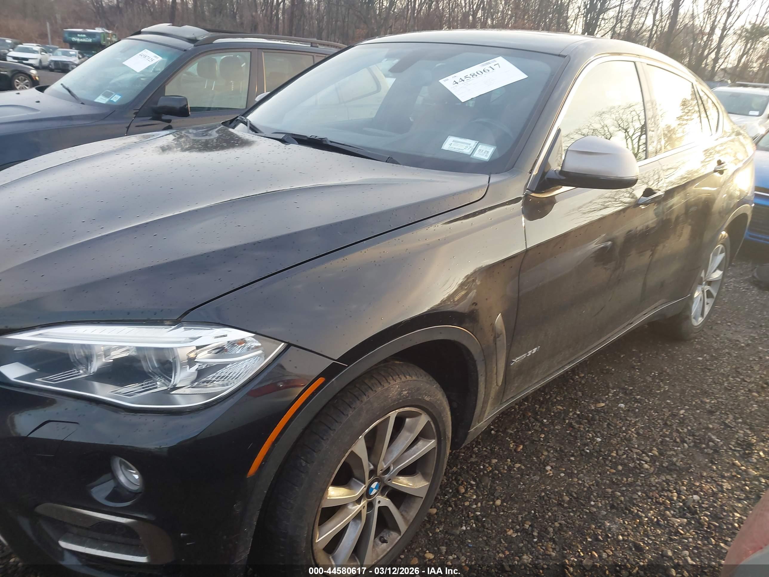BMW X6 image 2