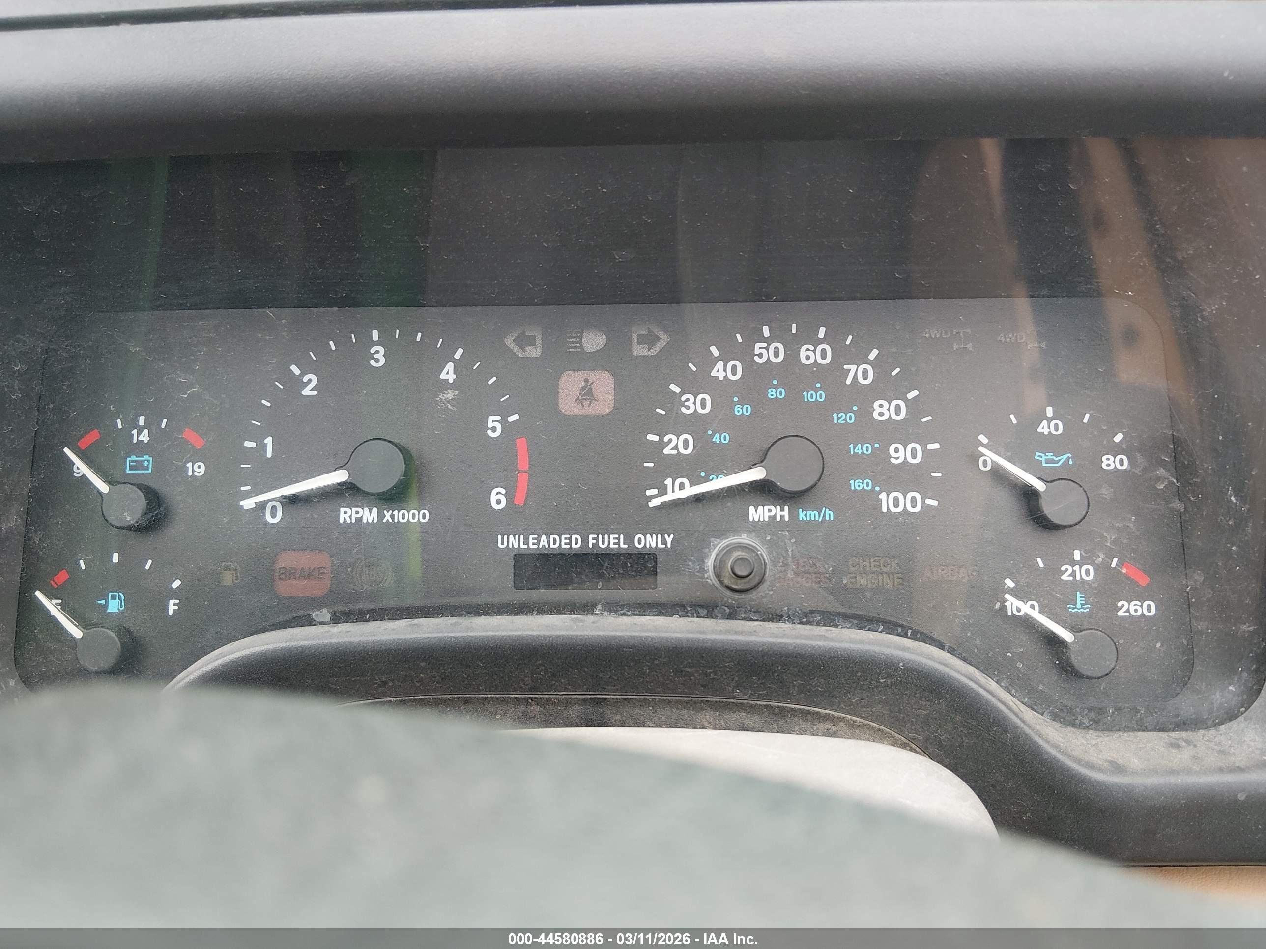 JEEP WRANGLER image 7