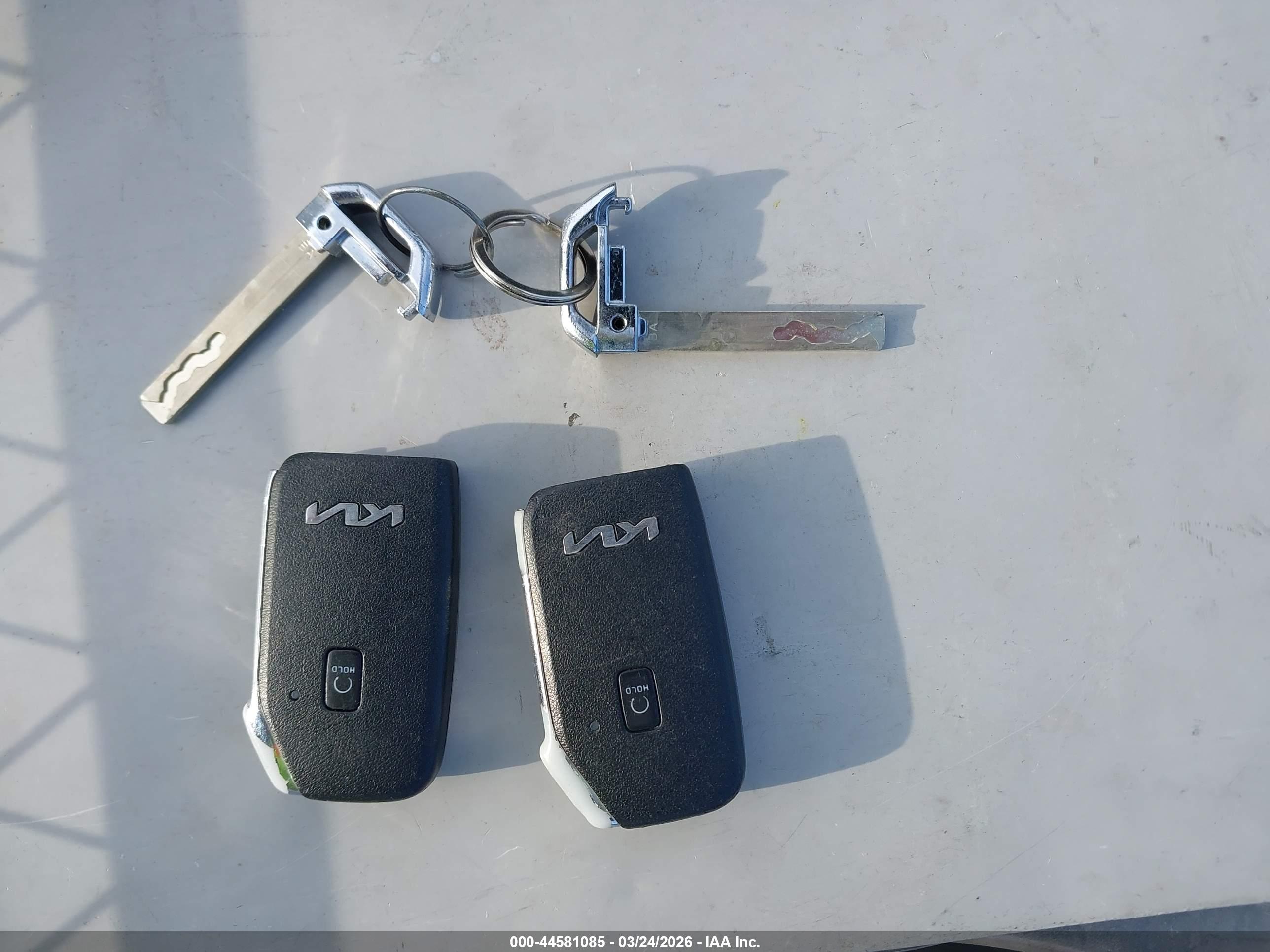 KIA SELTOS image 11
