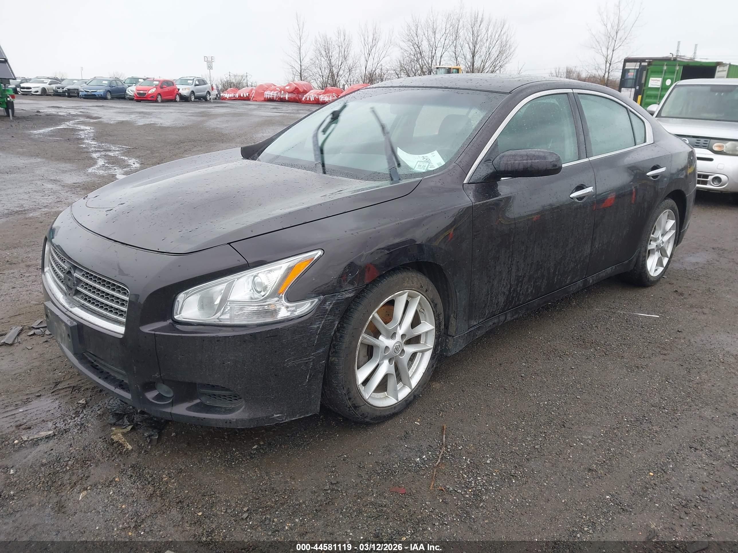 NISSAN MAXIMA image 2