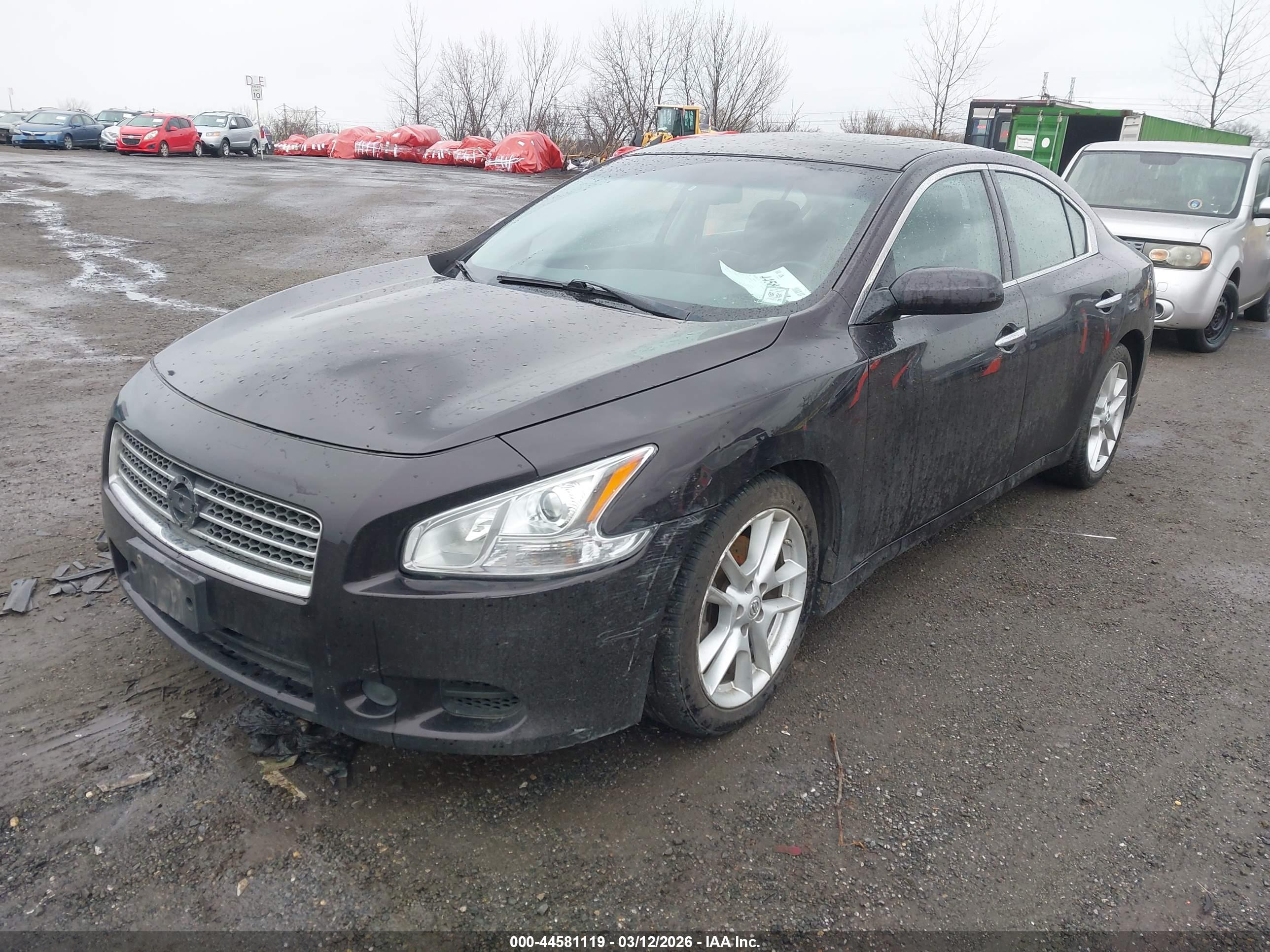 NISSAN MAXIMA image 6