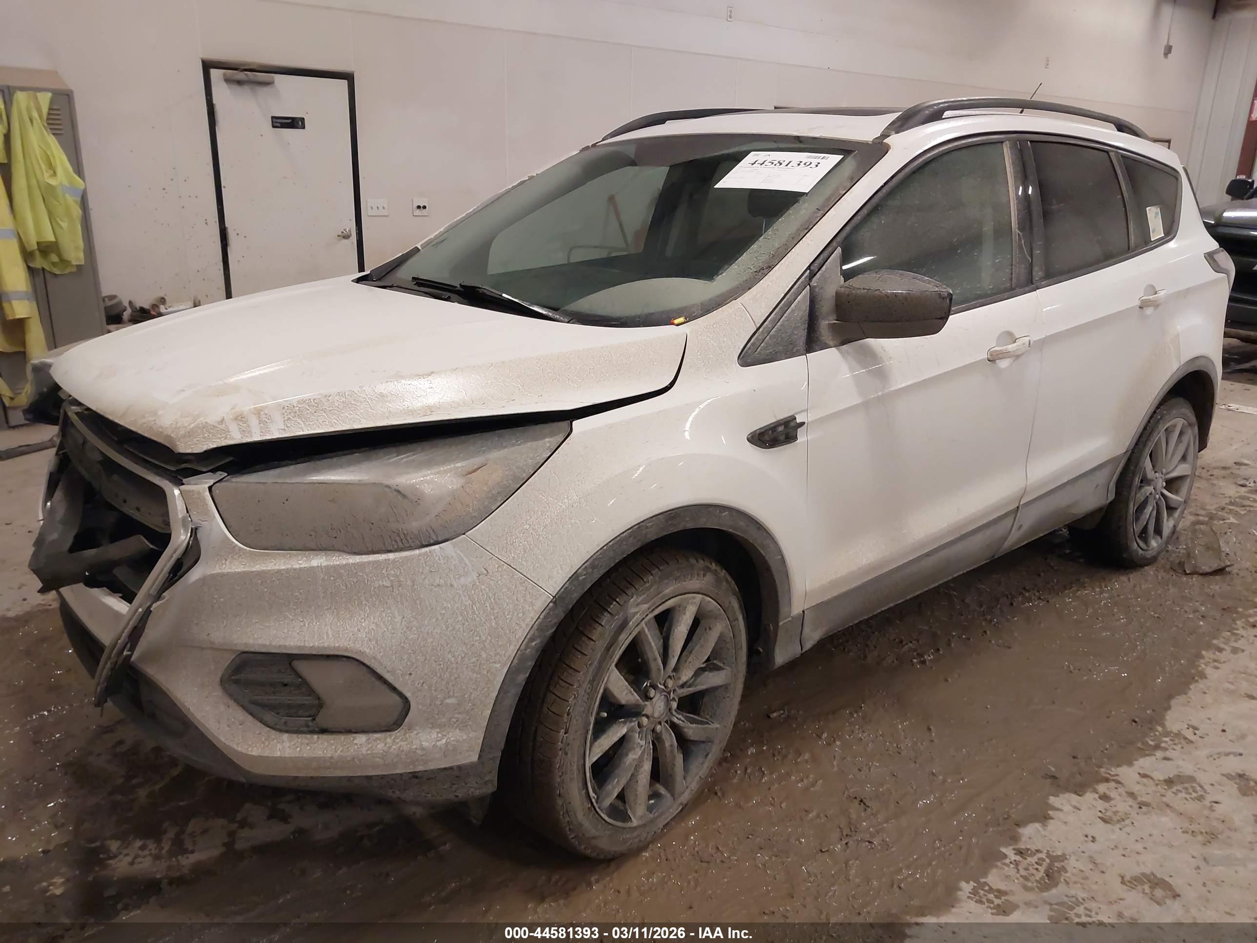FORD ESCAPE image 2