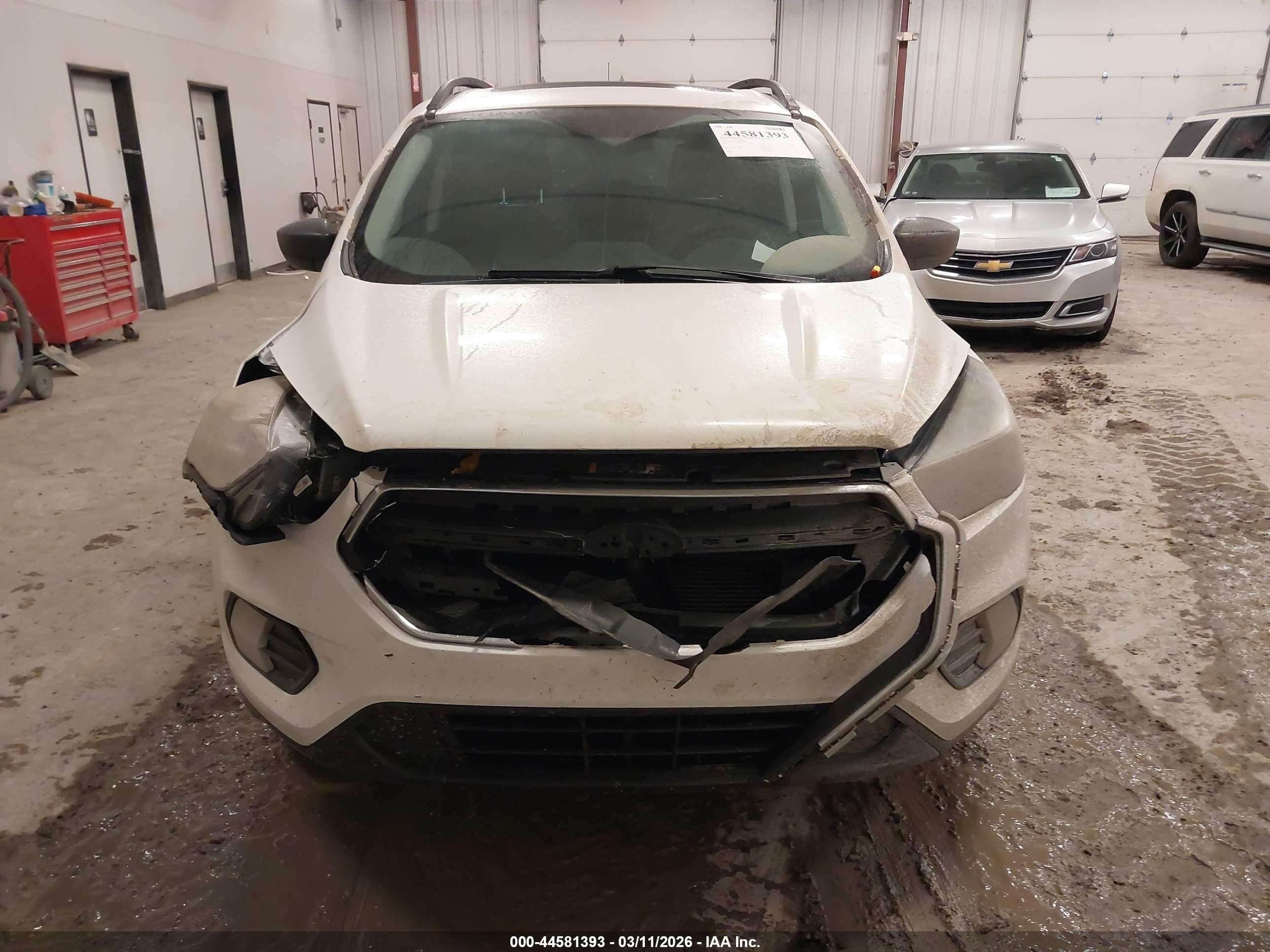 FORD ESCAPE image 6