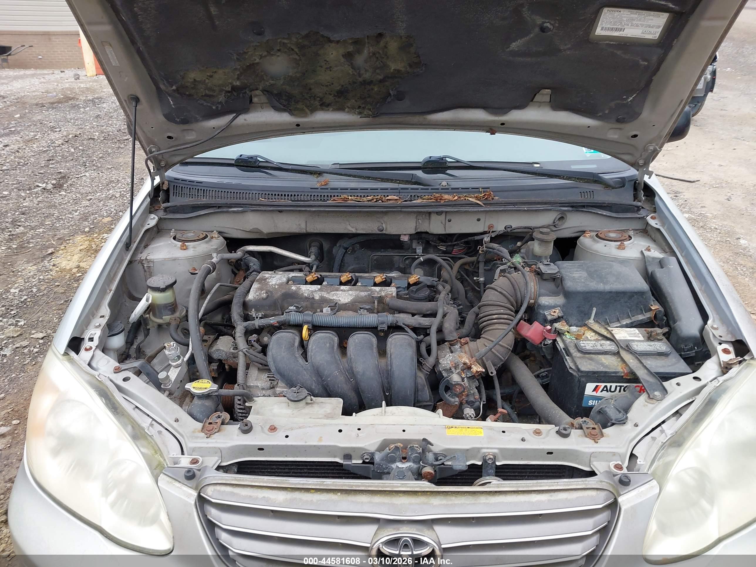 TOYOTA COROLLA image 10