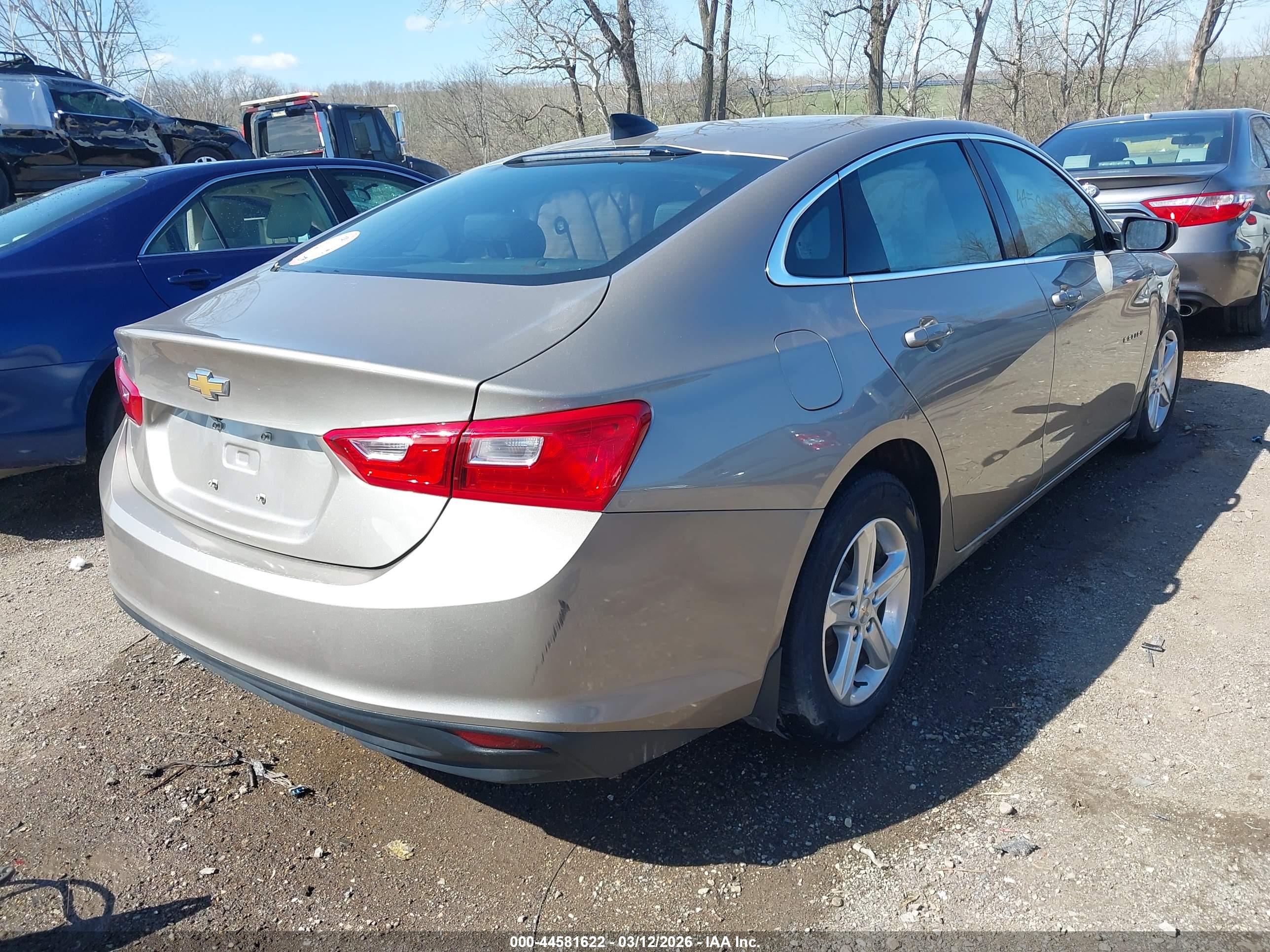 CHEVROLET MALIBU image 4