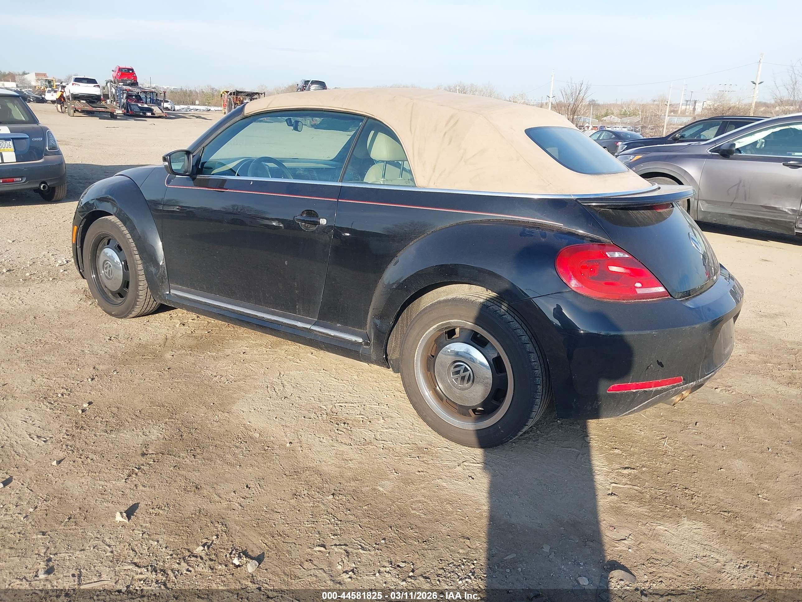 VOLKSWAGEN BEETLE image 3