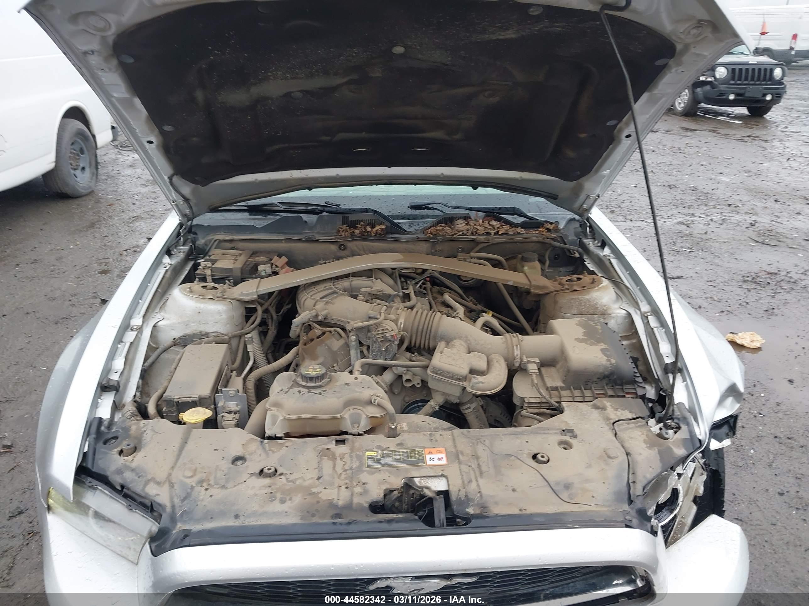 FORD MUSTANG image 10