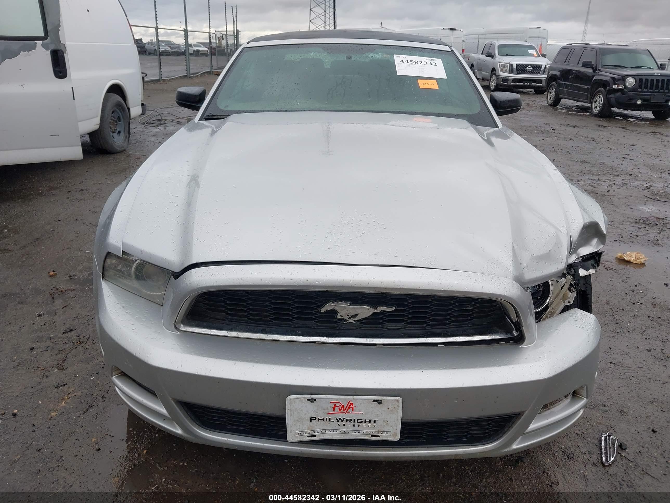 FORD MUSTANG image 6